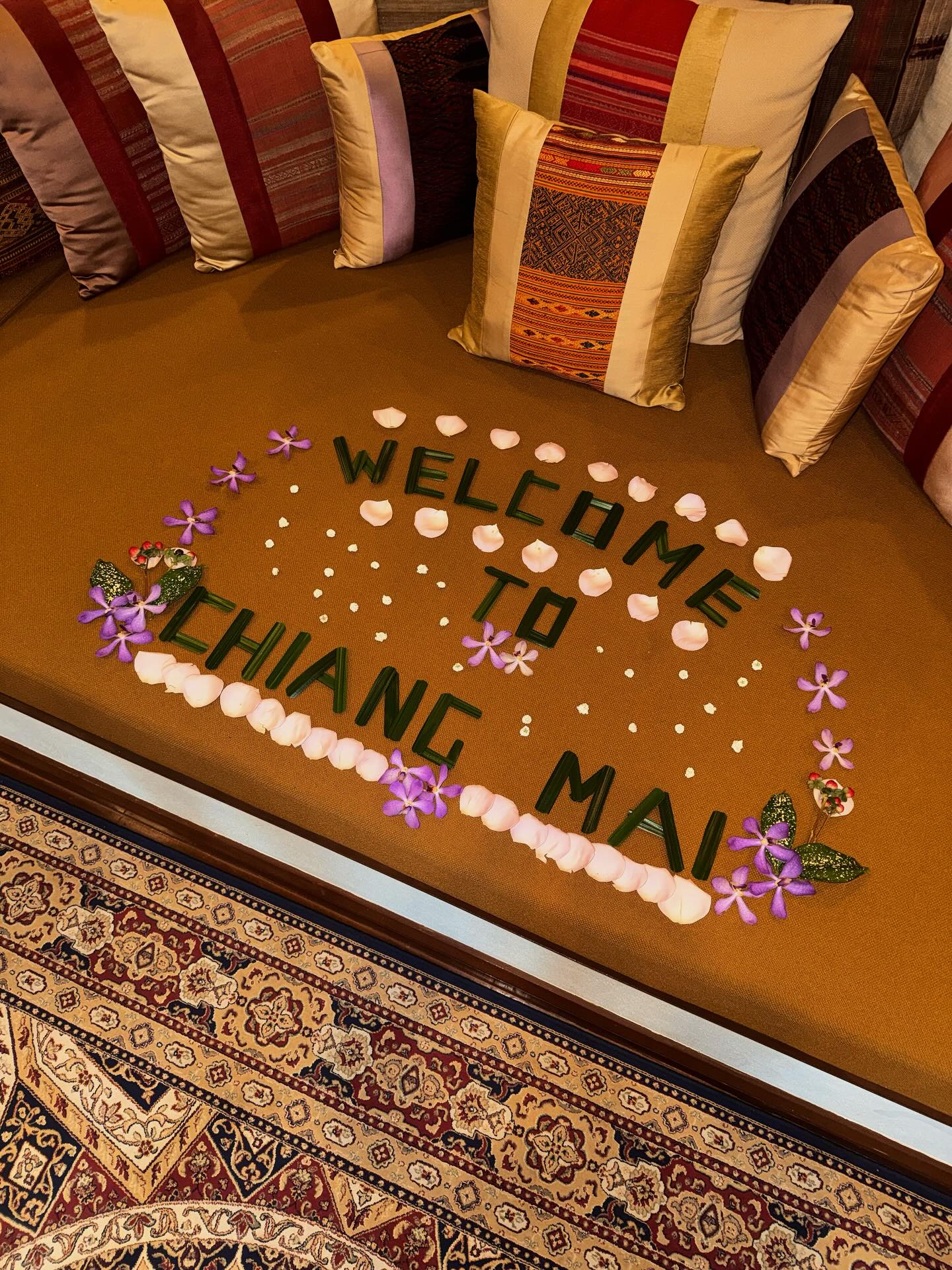 แพต - ชญานิษฐ์ ชาญสง่าเวช