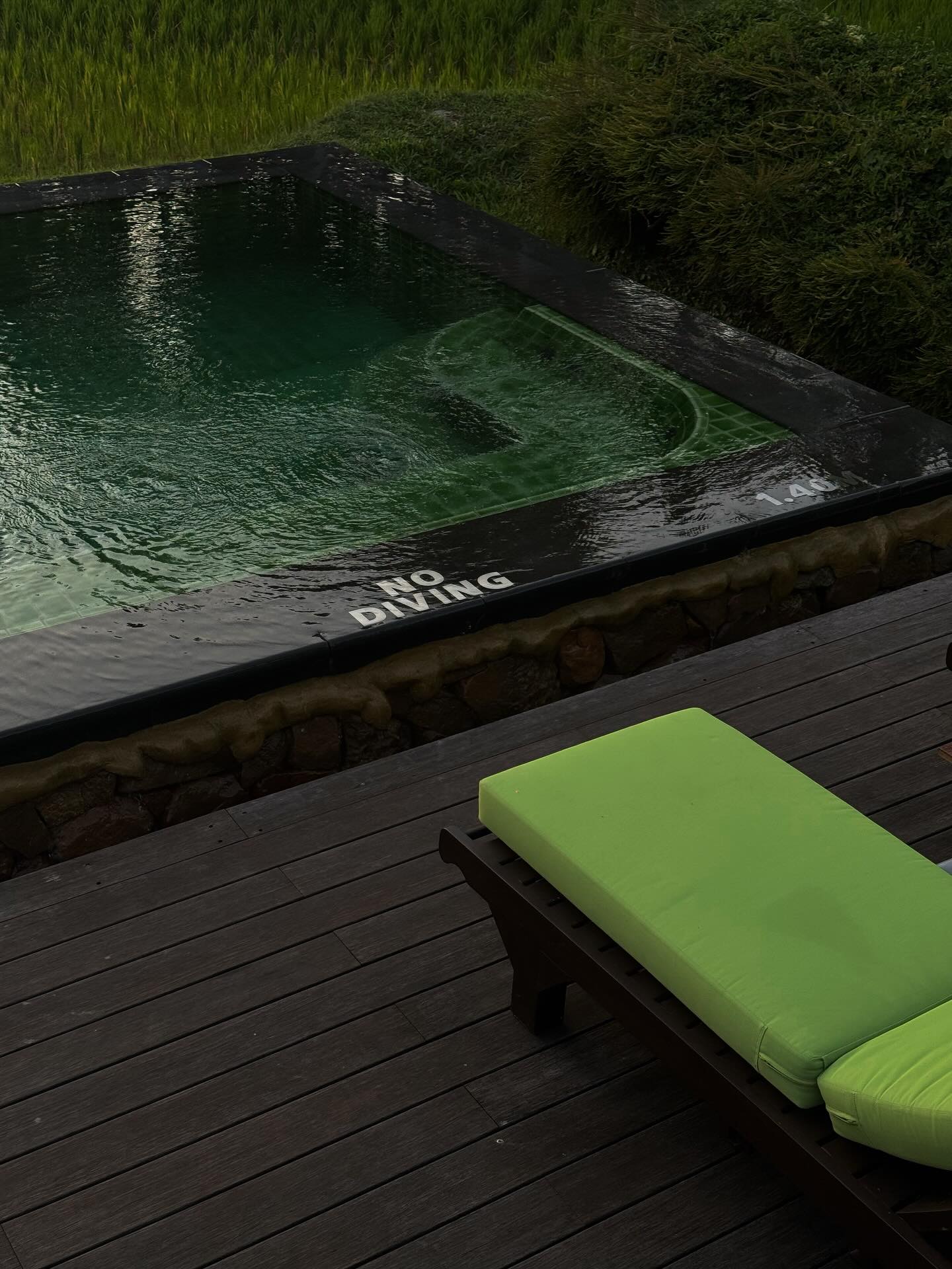 แพต - ชญานิษฐ์ ชาญสง่าเวช