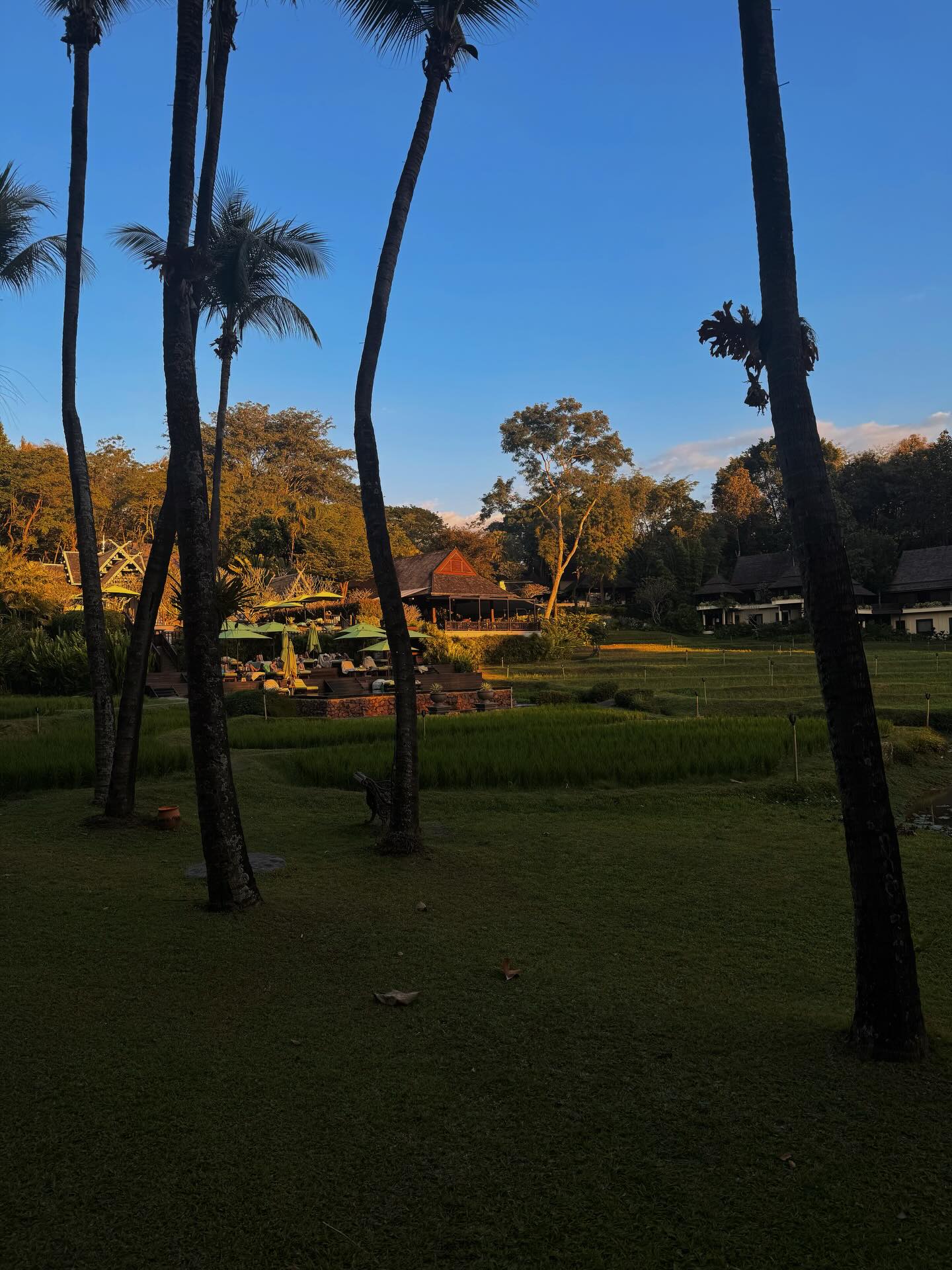 แพต - ชญานิษฐ์ ชาญสง่าเวช