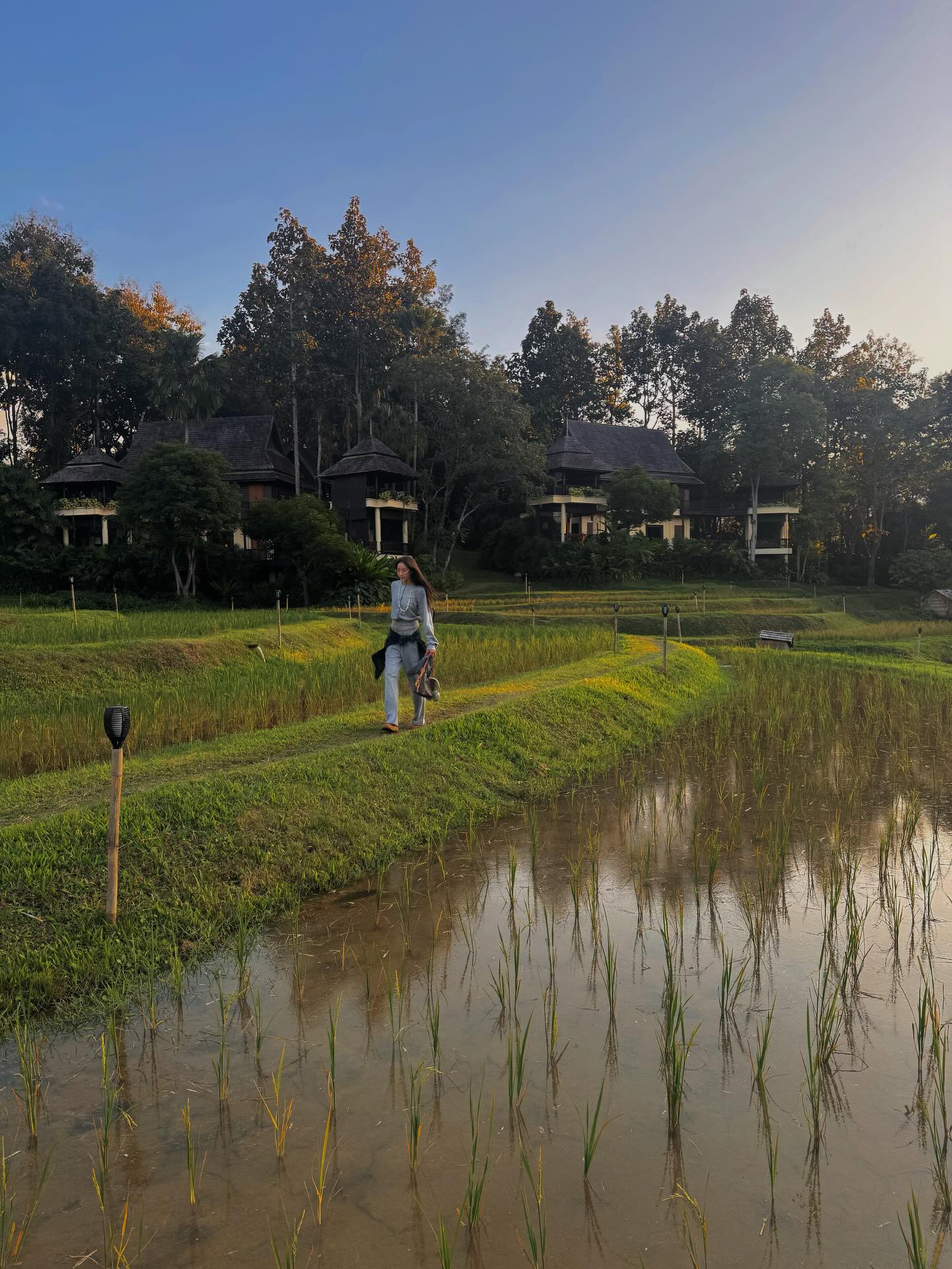 แพต - ชญานิษฐ์ ชาญสง่าเวช