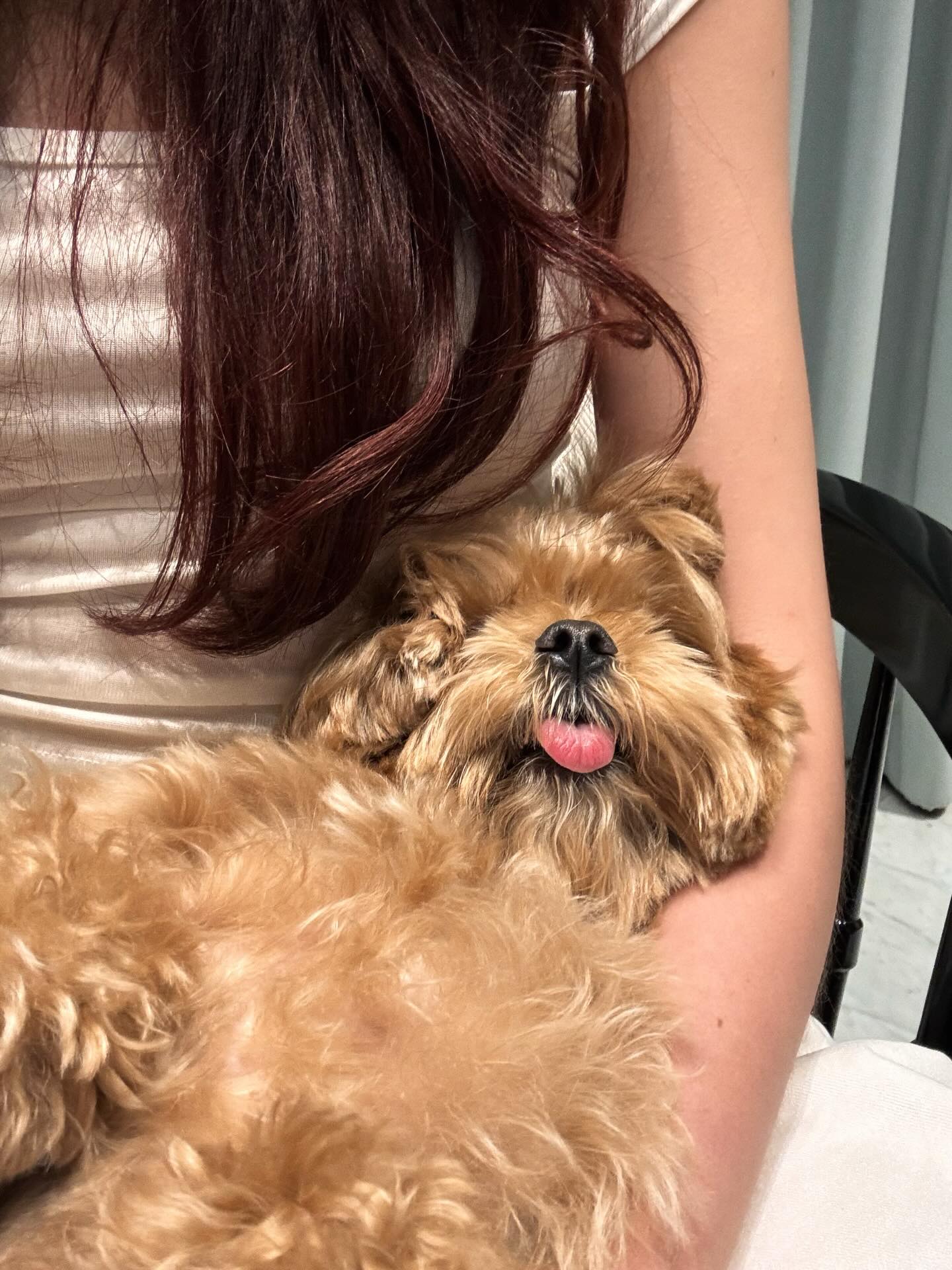 แพต - ชญานิษฐ์ ชาญสง่าเวช