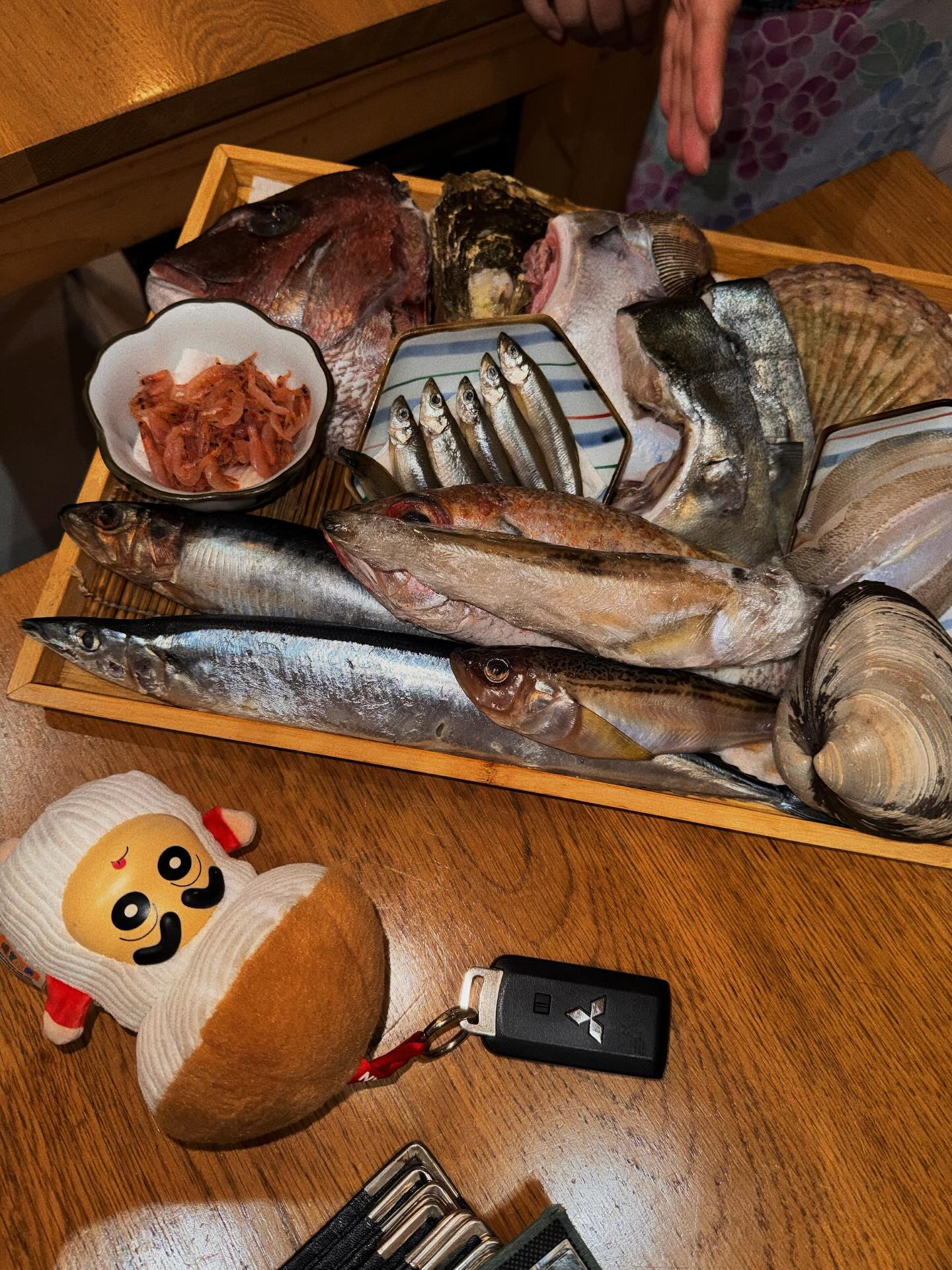 แพต - ชญานิษฐ์ ชาญสง่าเวช