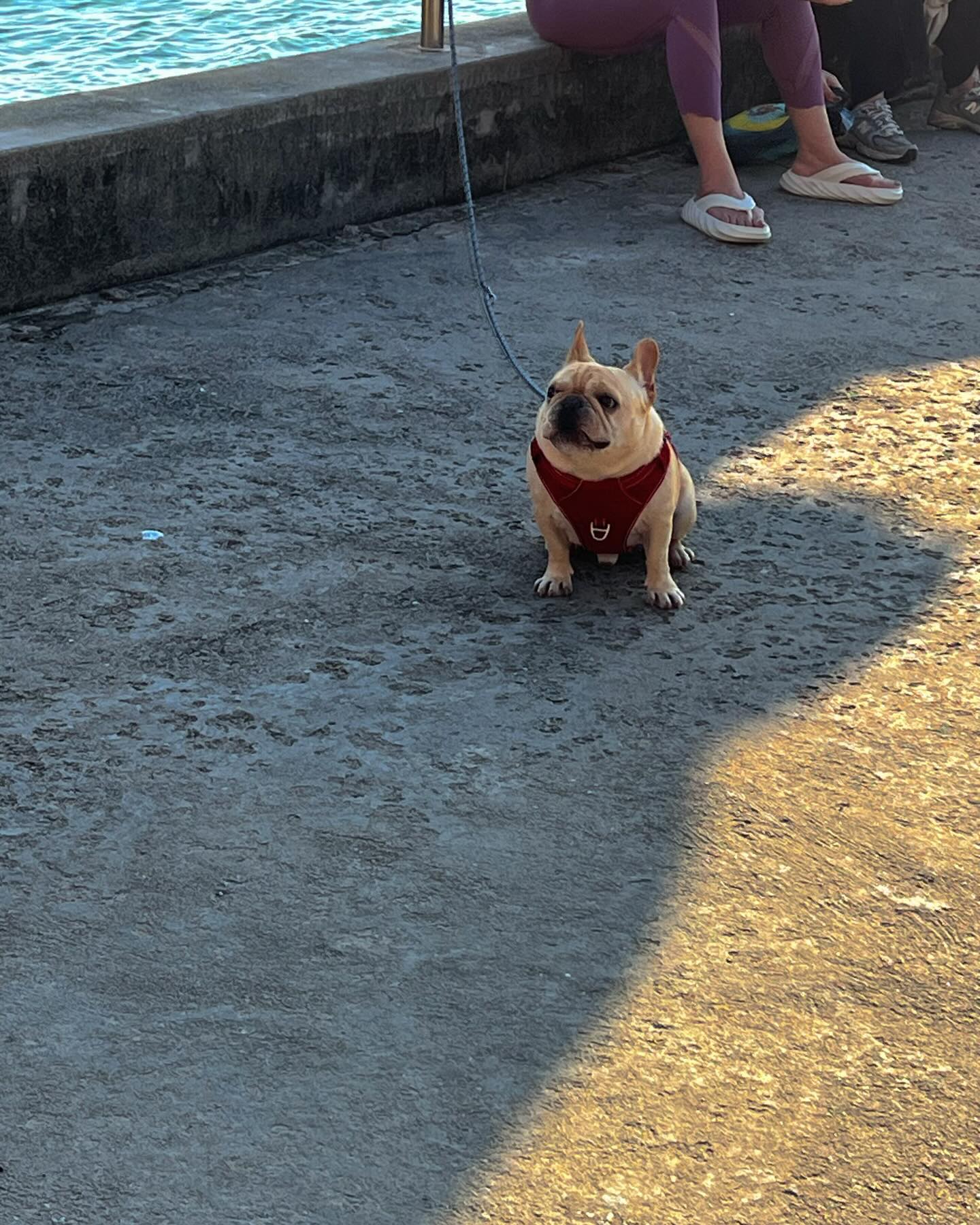 แพต - ชญานิษฐ์ ชาญสง่าเวช