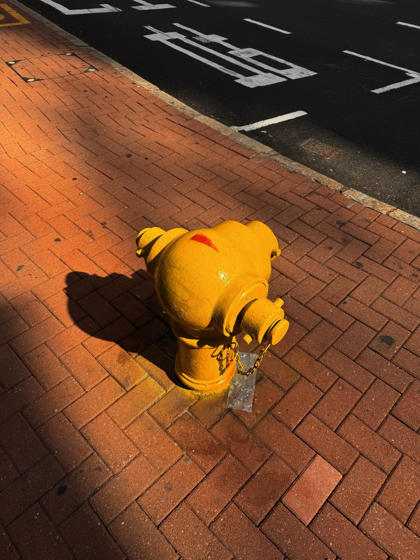 แพต - ชญานิษฐ์ ชาญสง่าเวช