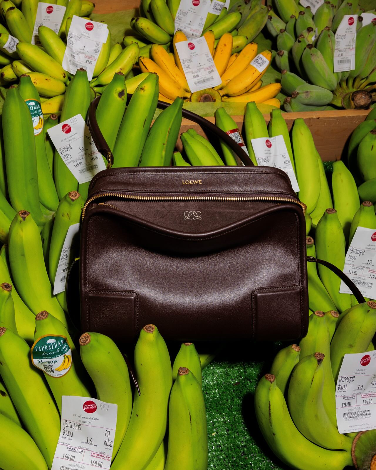 แพต - ชญานิษฐ์ ชาญสง่าเวช