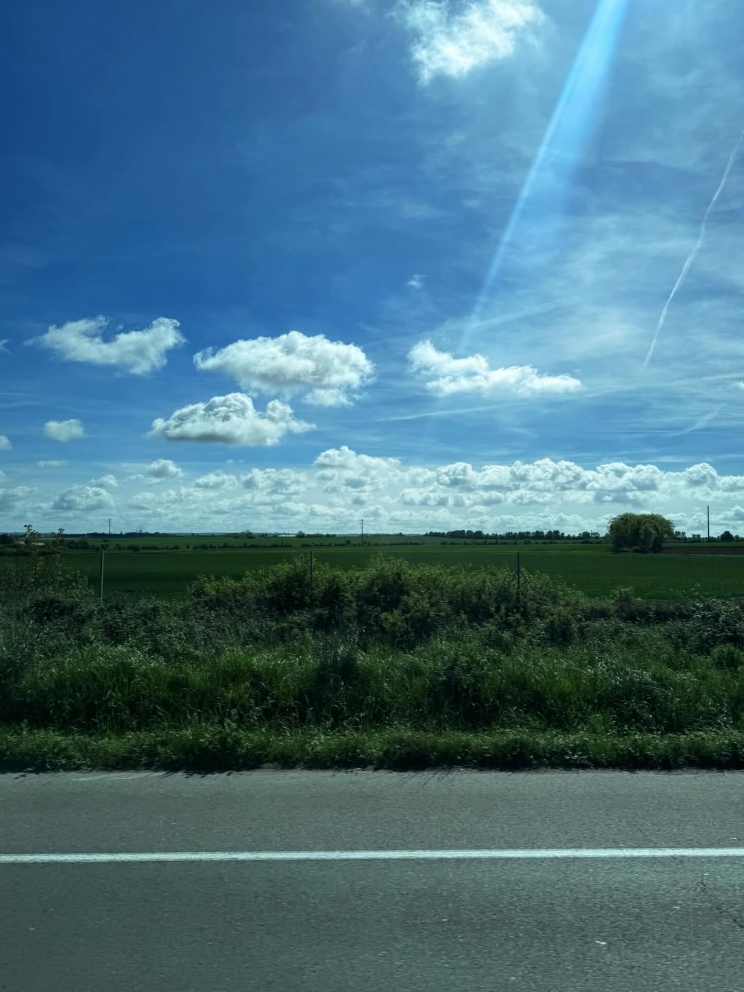 แพต - ชญานิษฐ์ ชาญสง่าเวช