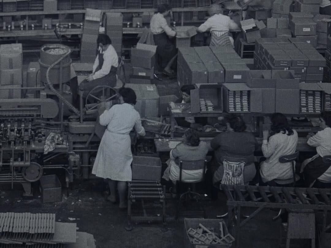 แพต - ชญานิษฐ์ ชาญสง่าเวช