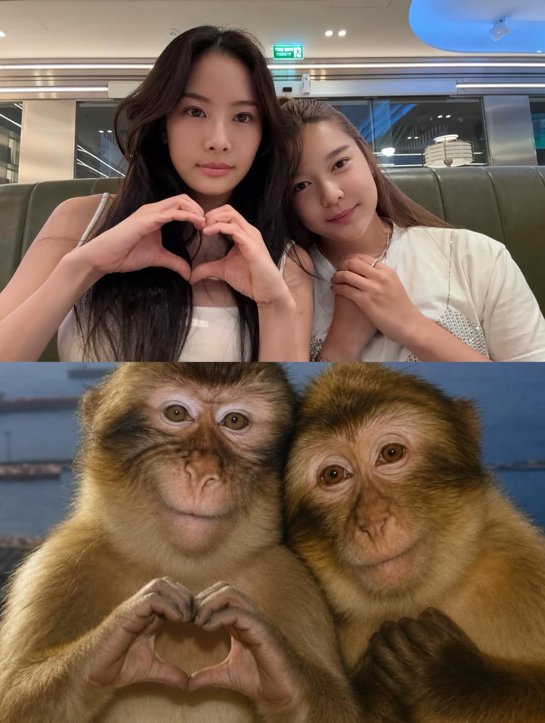 แพต - ชญานิษฐ์ ชาญสง่าเวช