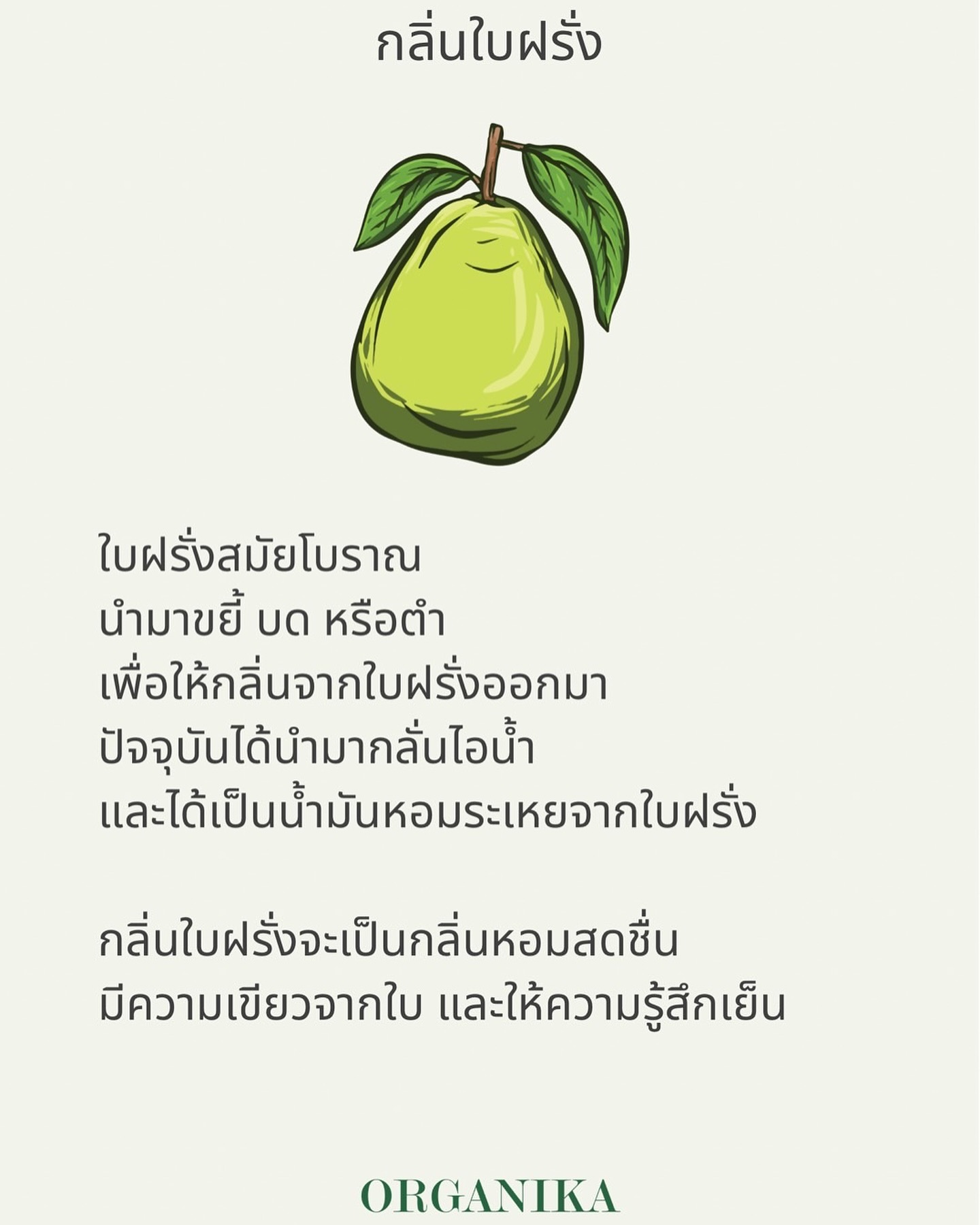 ริต้า - ศรีริต้า เจนเซ่น