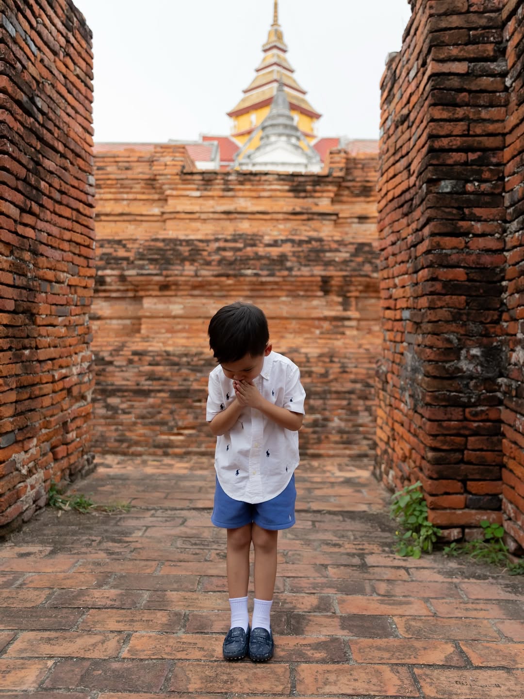 ริต้า - ศรีริต้า เจนเซ่น