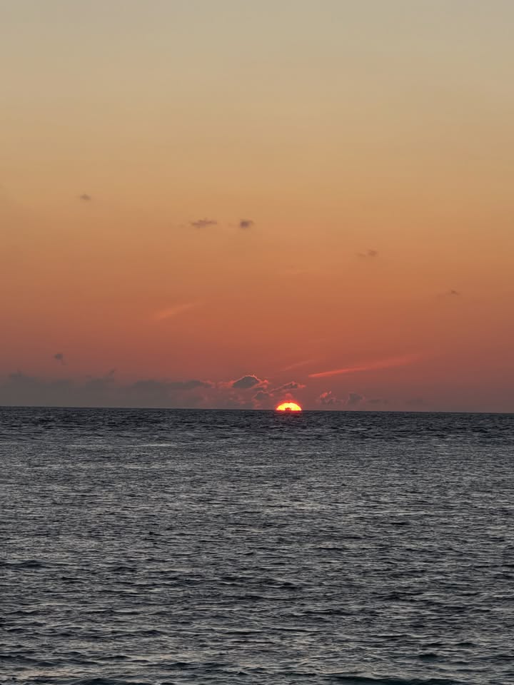 ริต้า - ศรีริต้า เจนเซ่น