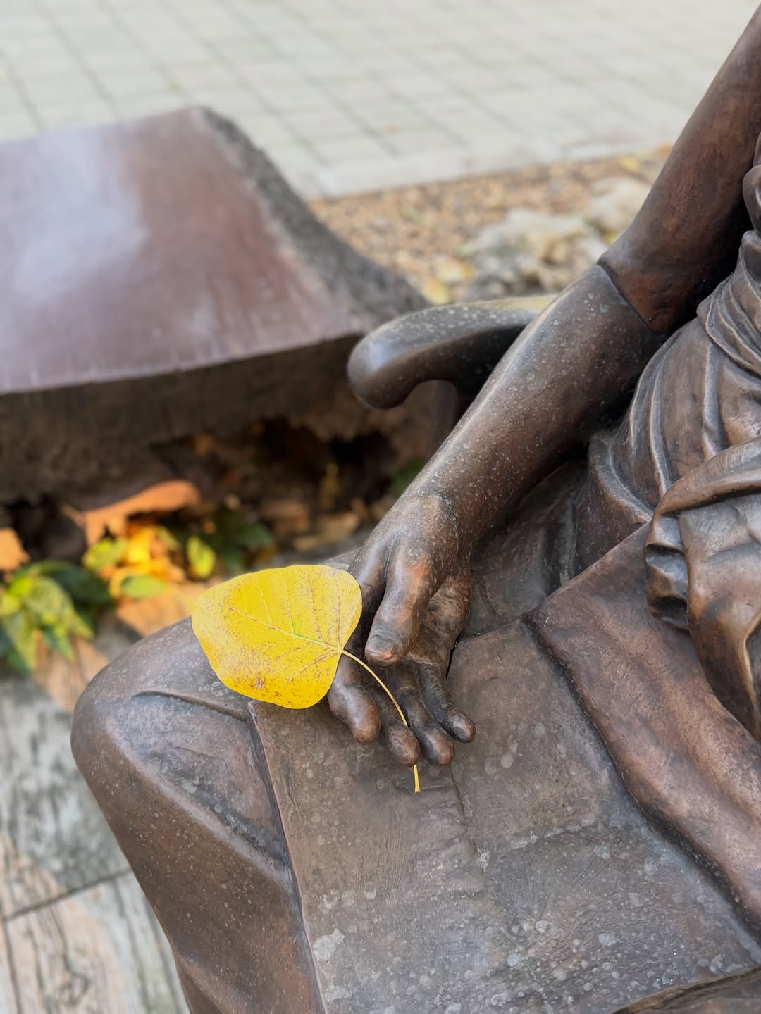 ริต้า - ศรีริต้า เจนเซ่น