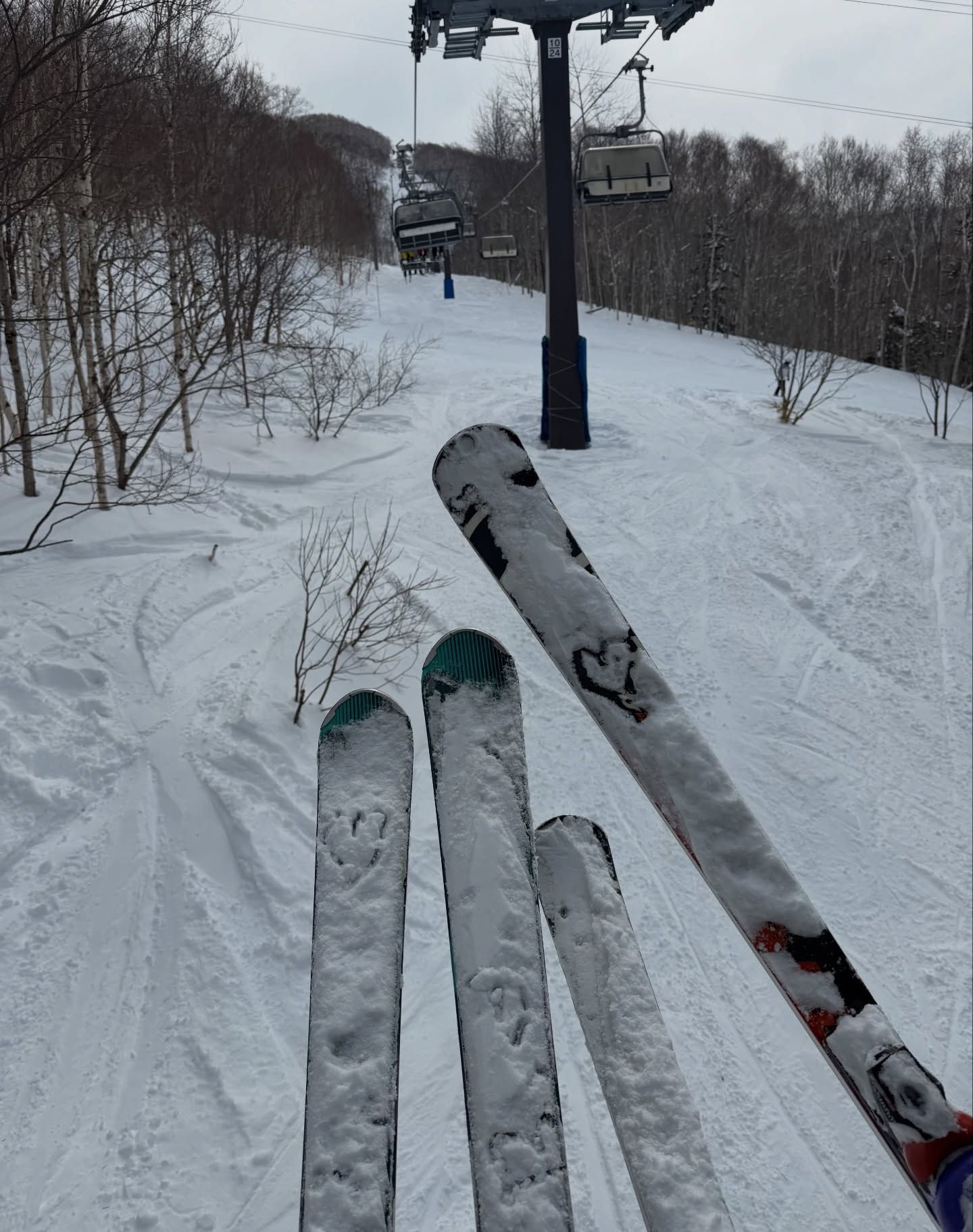 ริต้า - ศรีริต้า เจนเซ่น