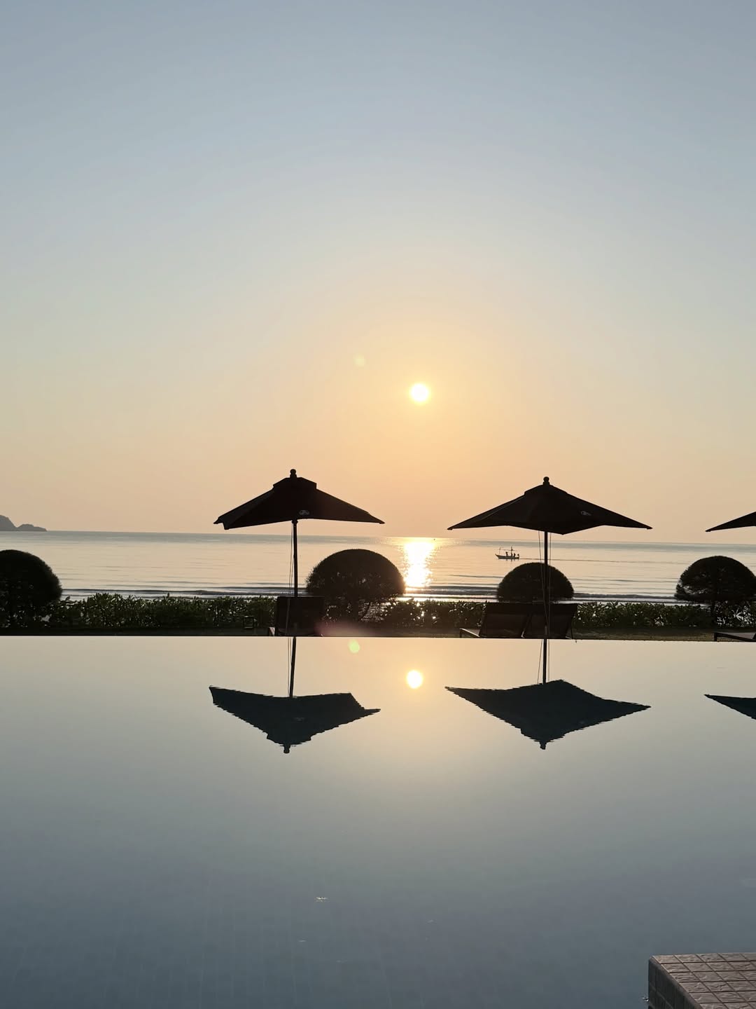 ริต้า - ศรีริต้า เจนเซ่น