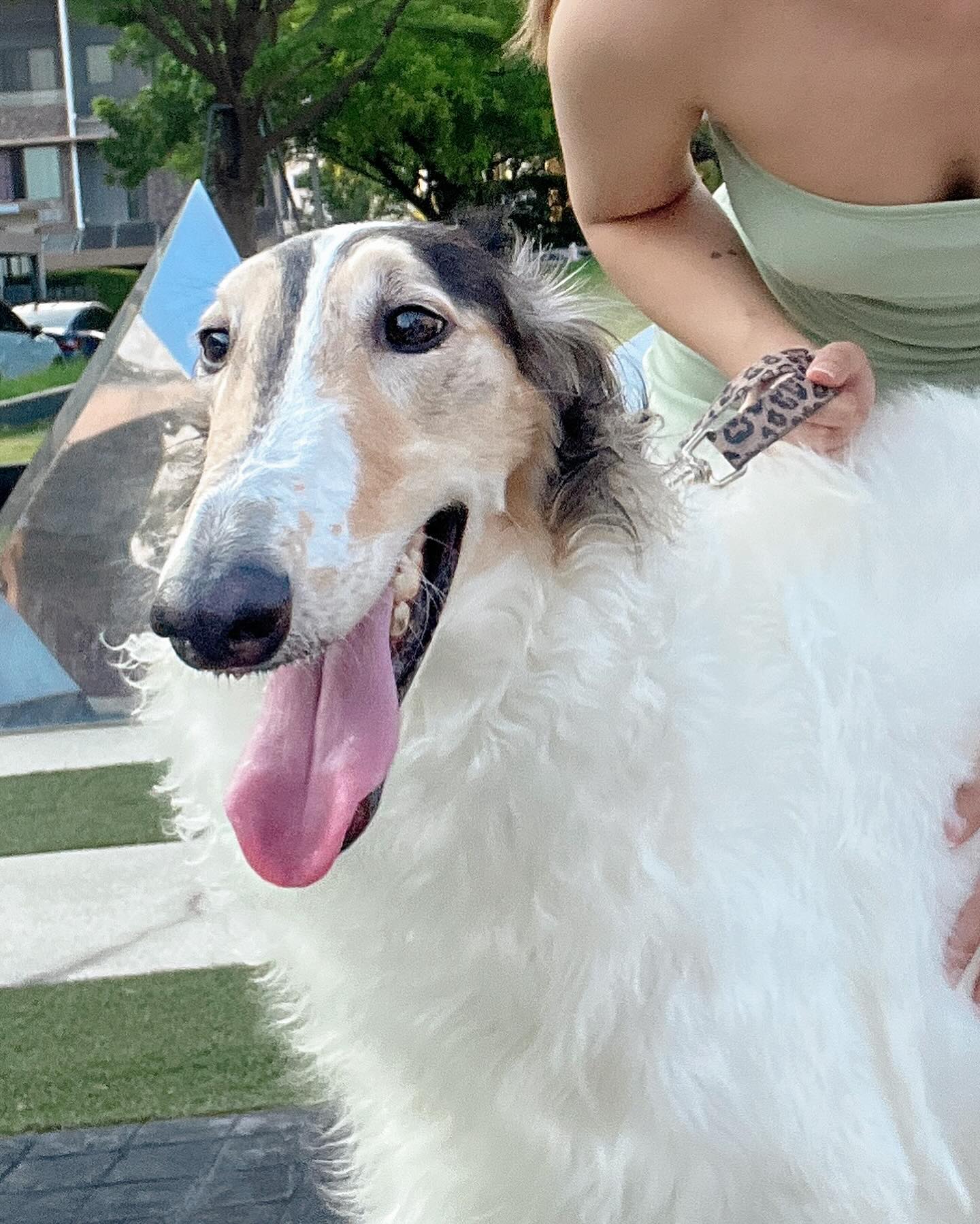 แจม - ชรัฐฐา อิมราพร