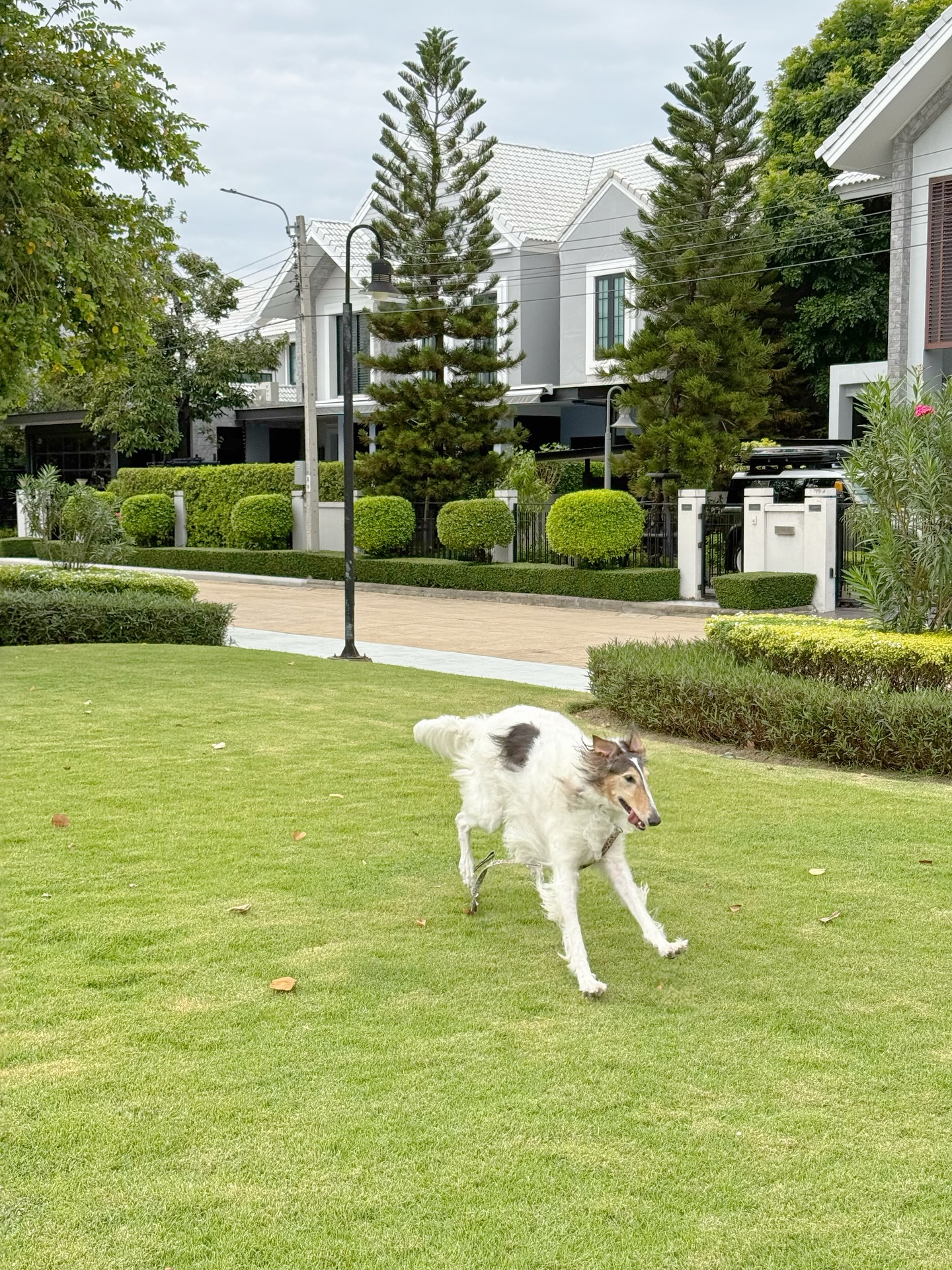 แจม - ชรัฐฐา อิมราพร