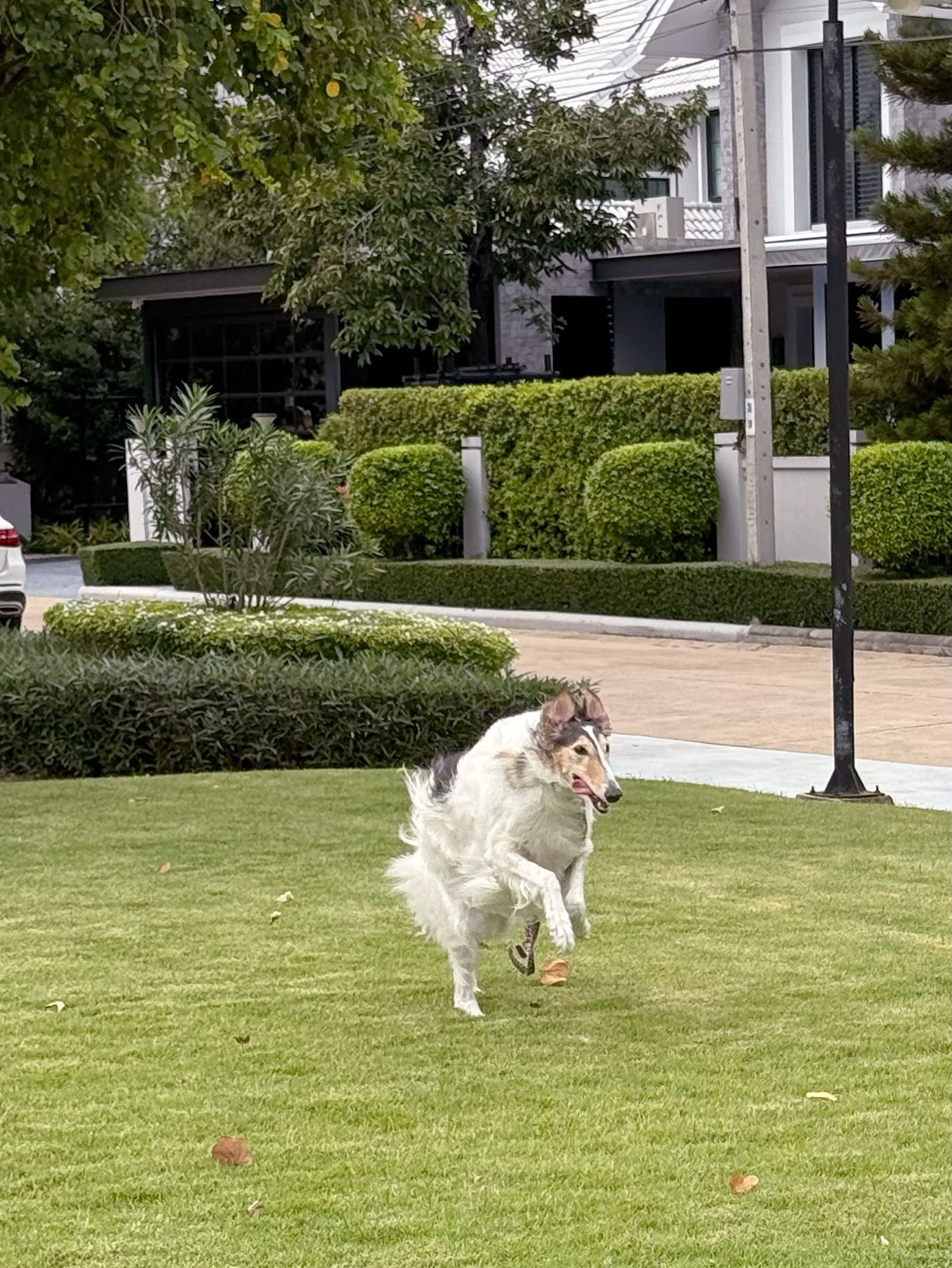 แจม - ชรัฐฐา อิมราพร