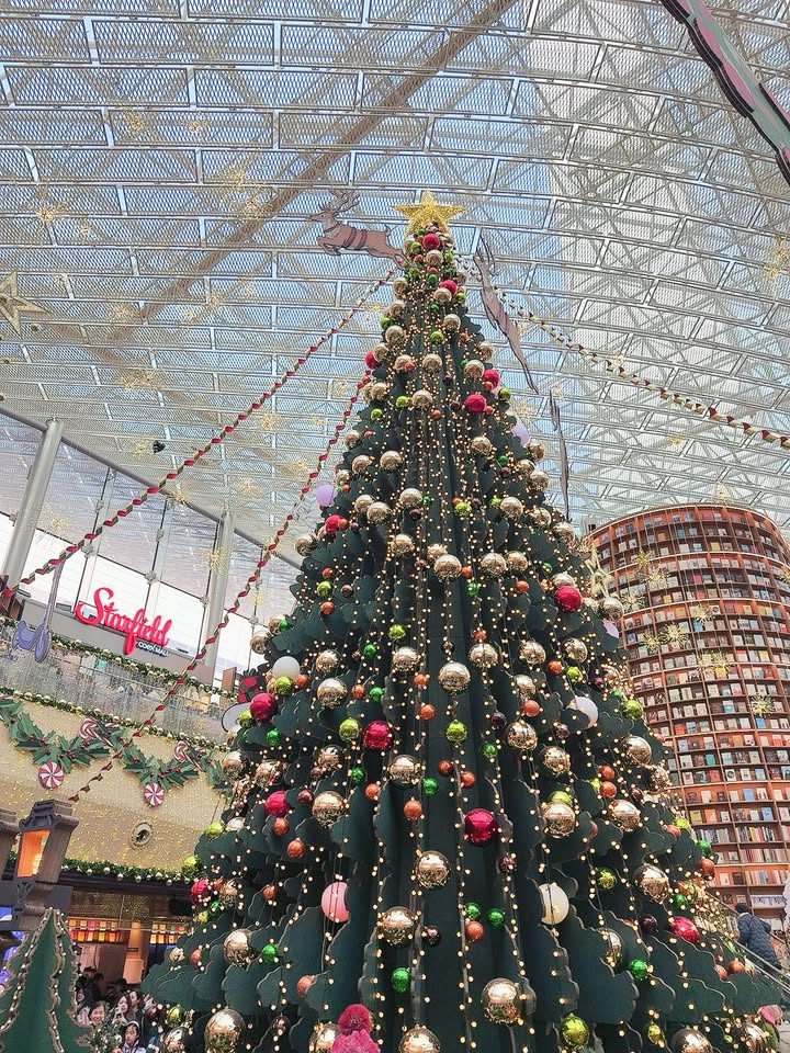 แจม - ชรัฐฐา อิมราพร