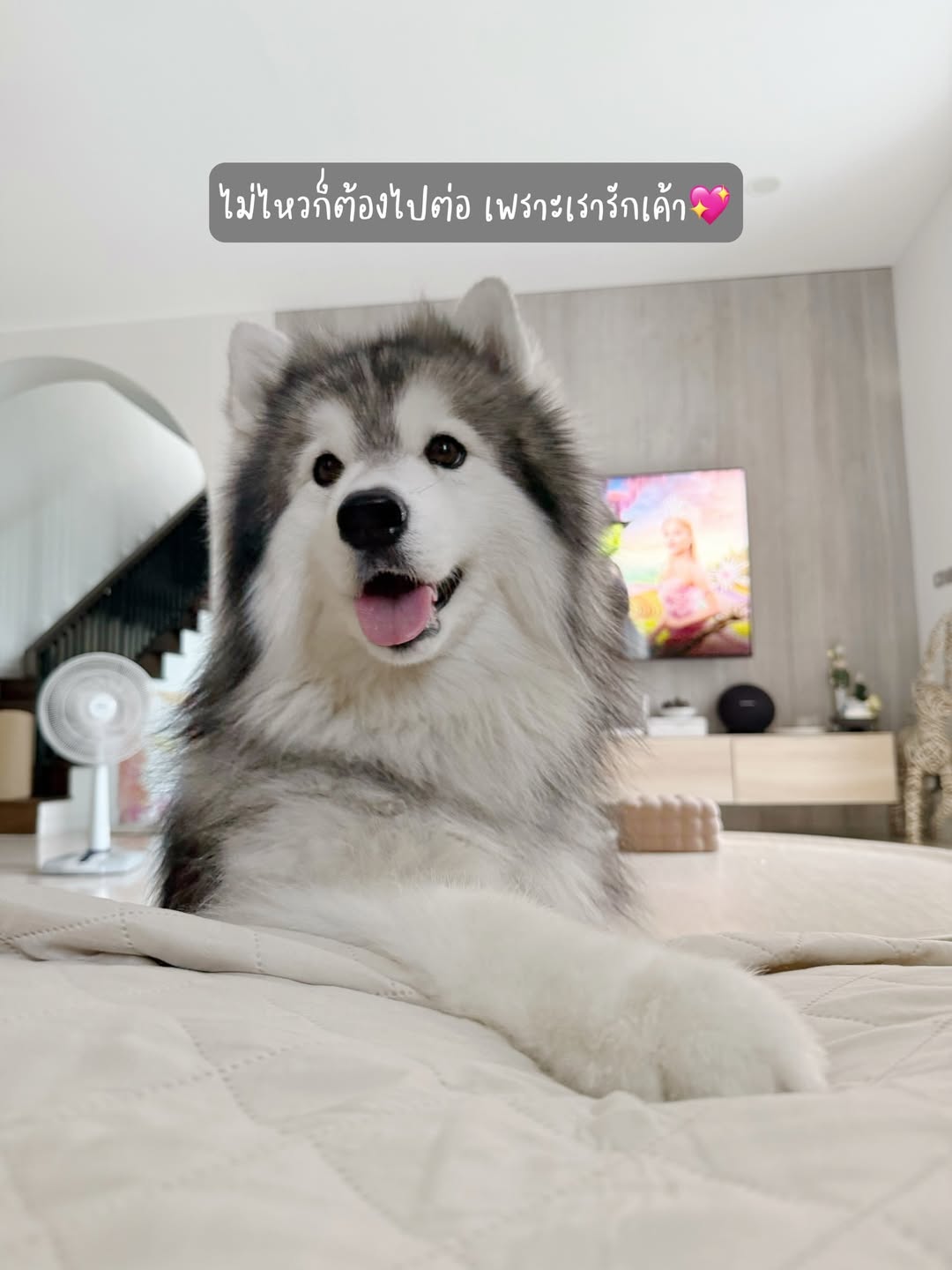 แจม - ชรัฐฐา อิมราพร