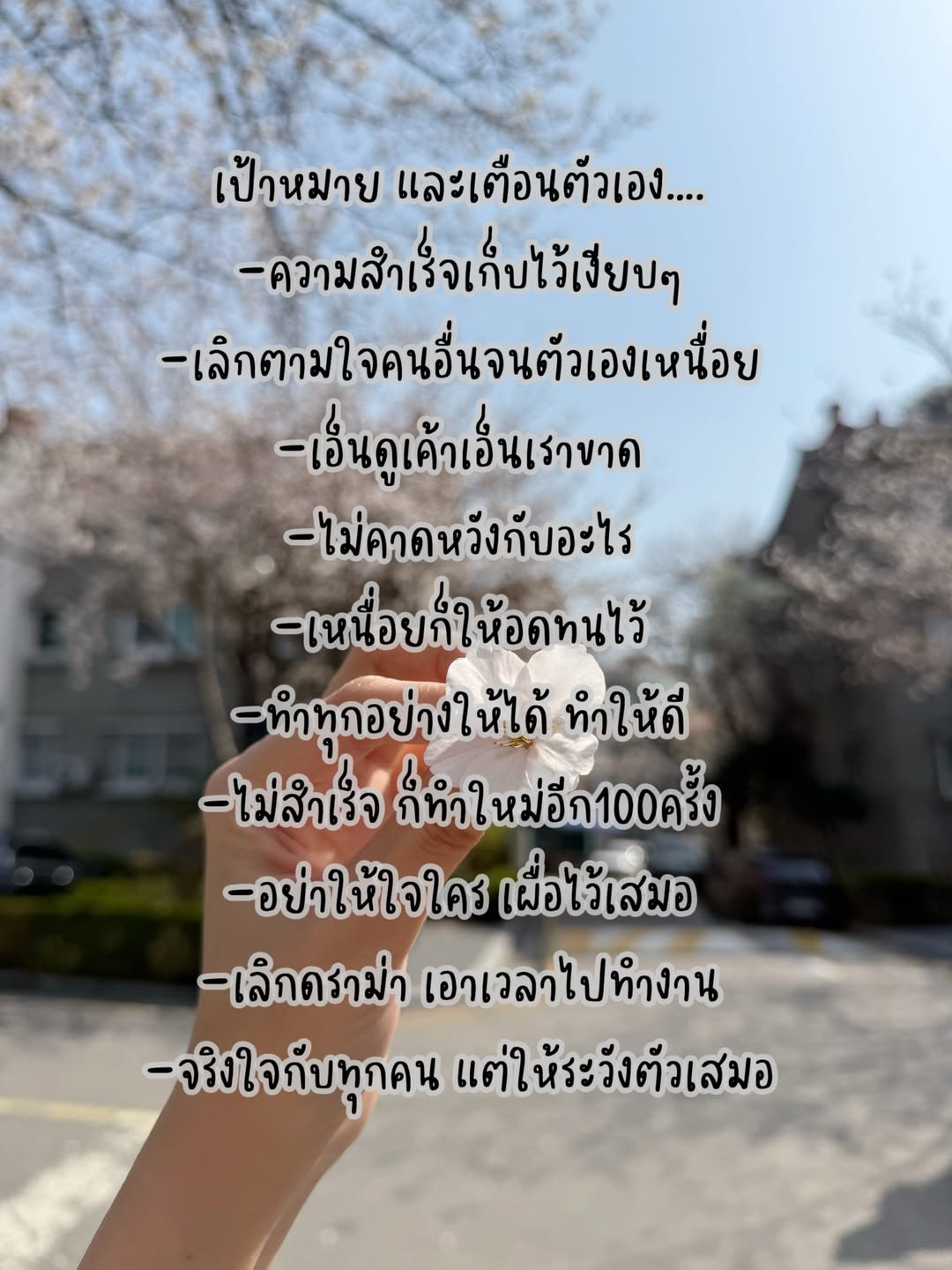 แจม - ชรัฐฐา อิมราพร