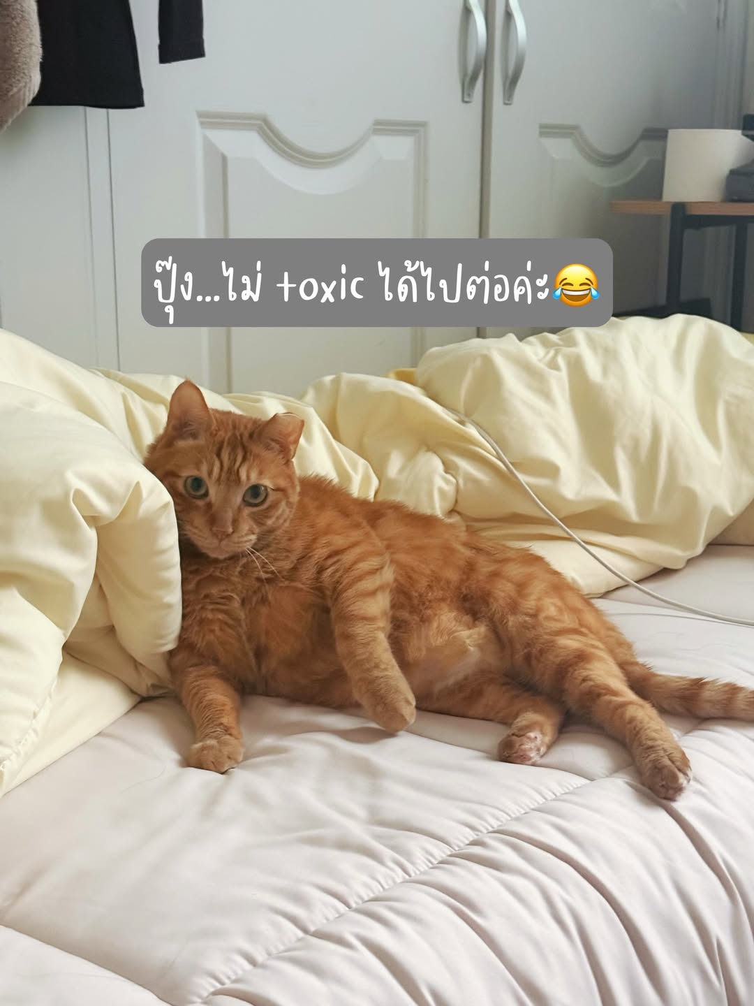 แจม - ชรัฐฐา อิมราพร