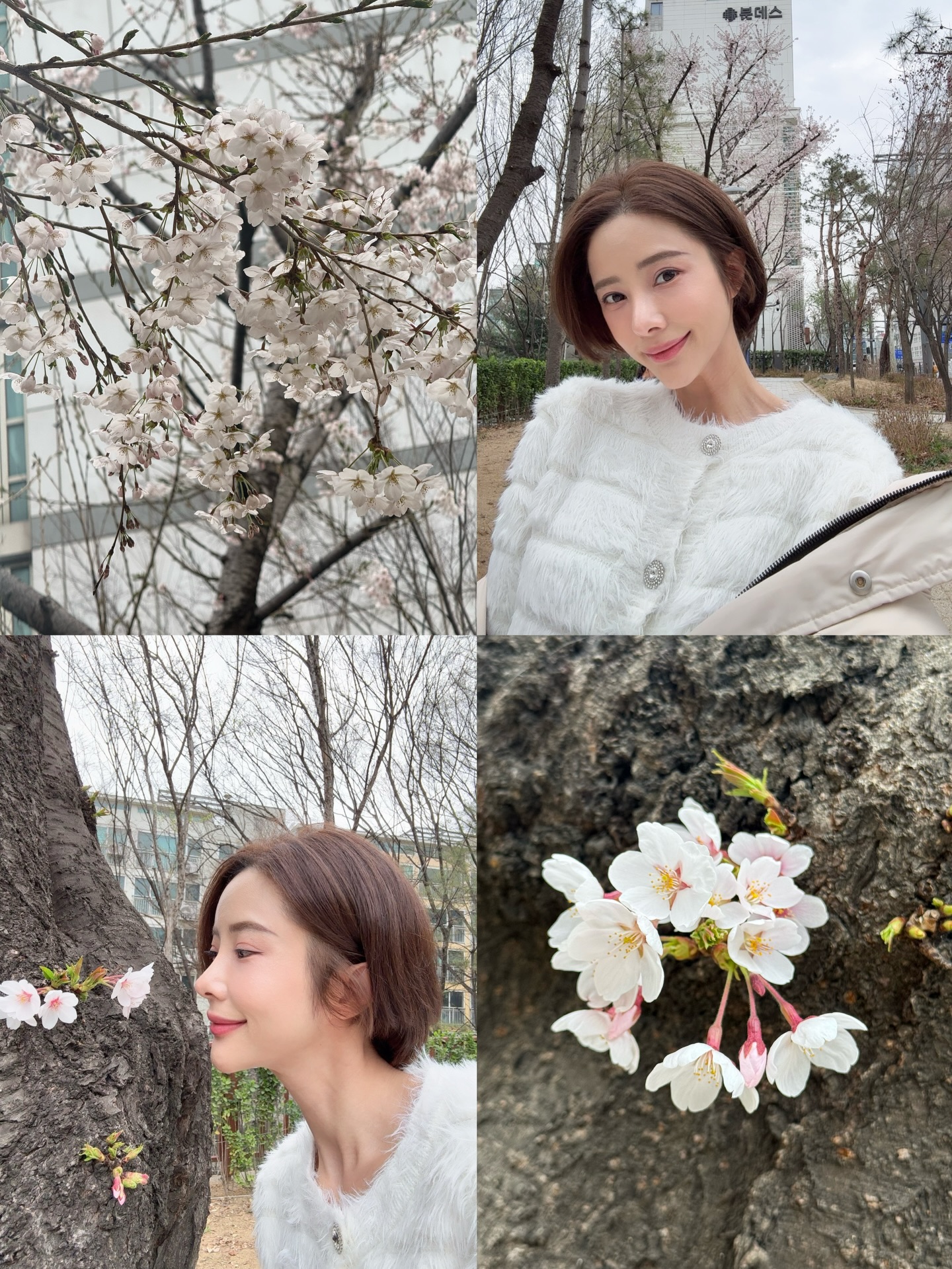 แจม - ชรัฐฐา อิมราพร