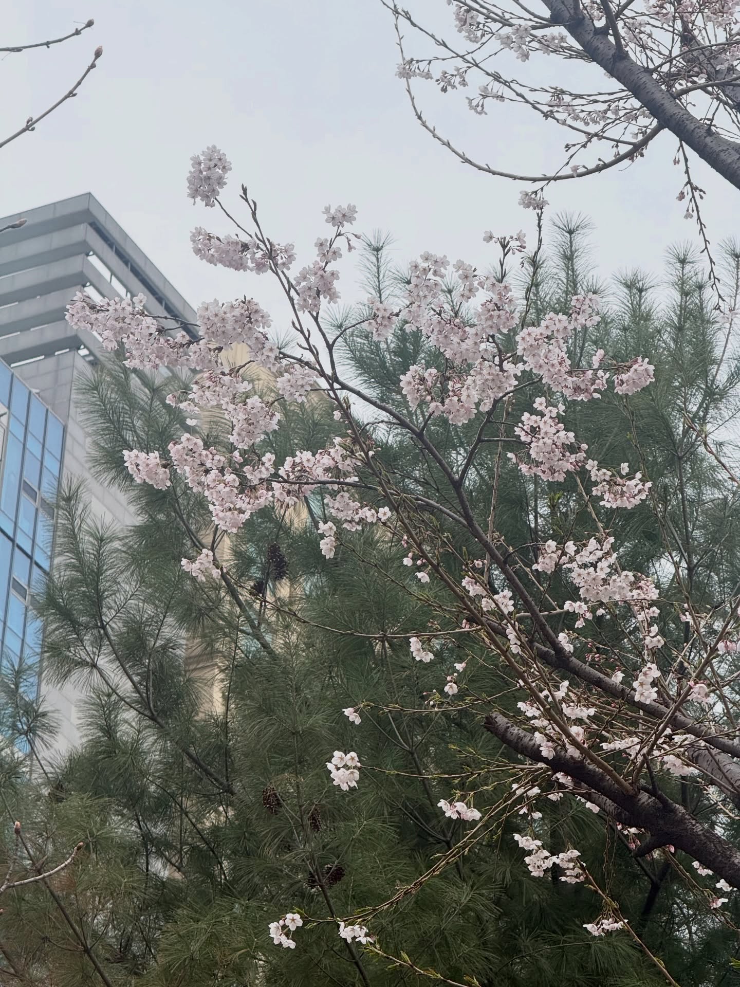 แจม - ชรัฐฐา อิมราพร