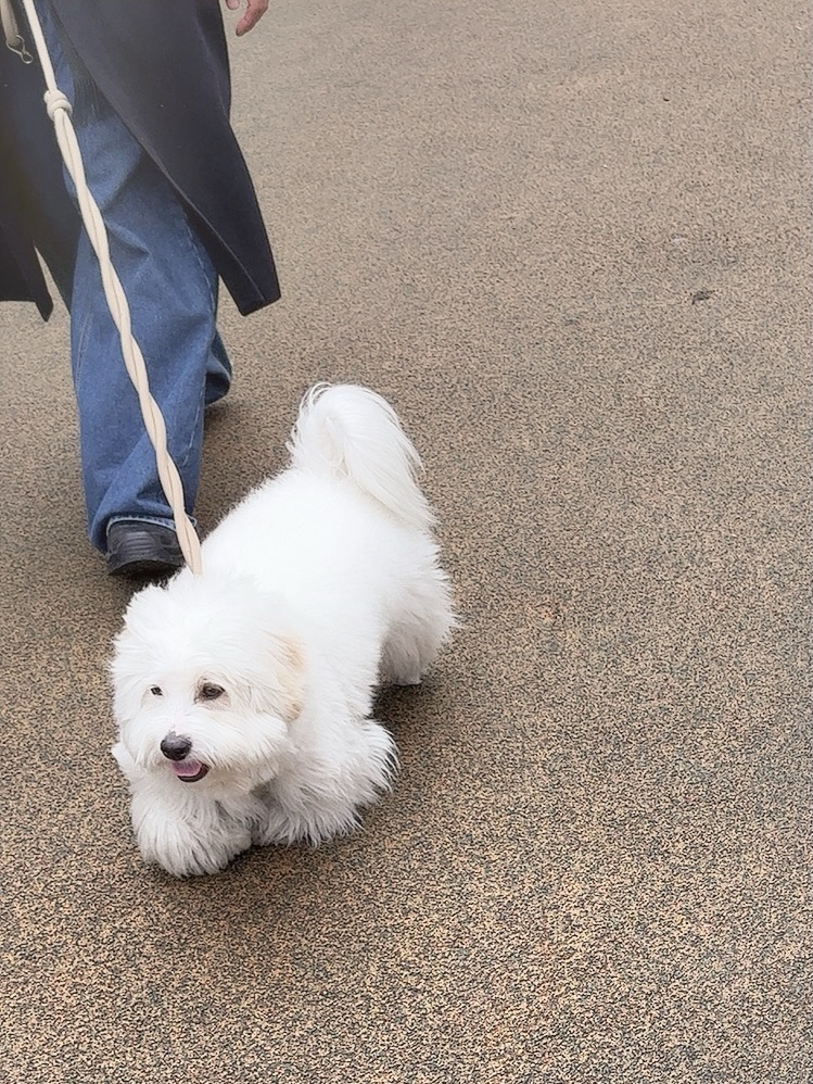 แจม - ชรัฐฐา อิมราพร