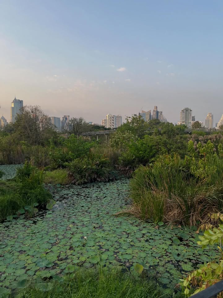 ณัฐ - ณัฐรัฐ โมริส เลอกรอง