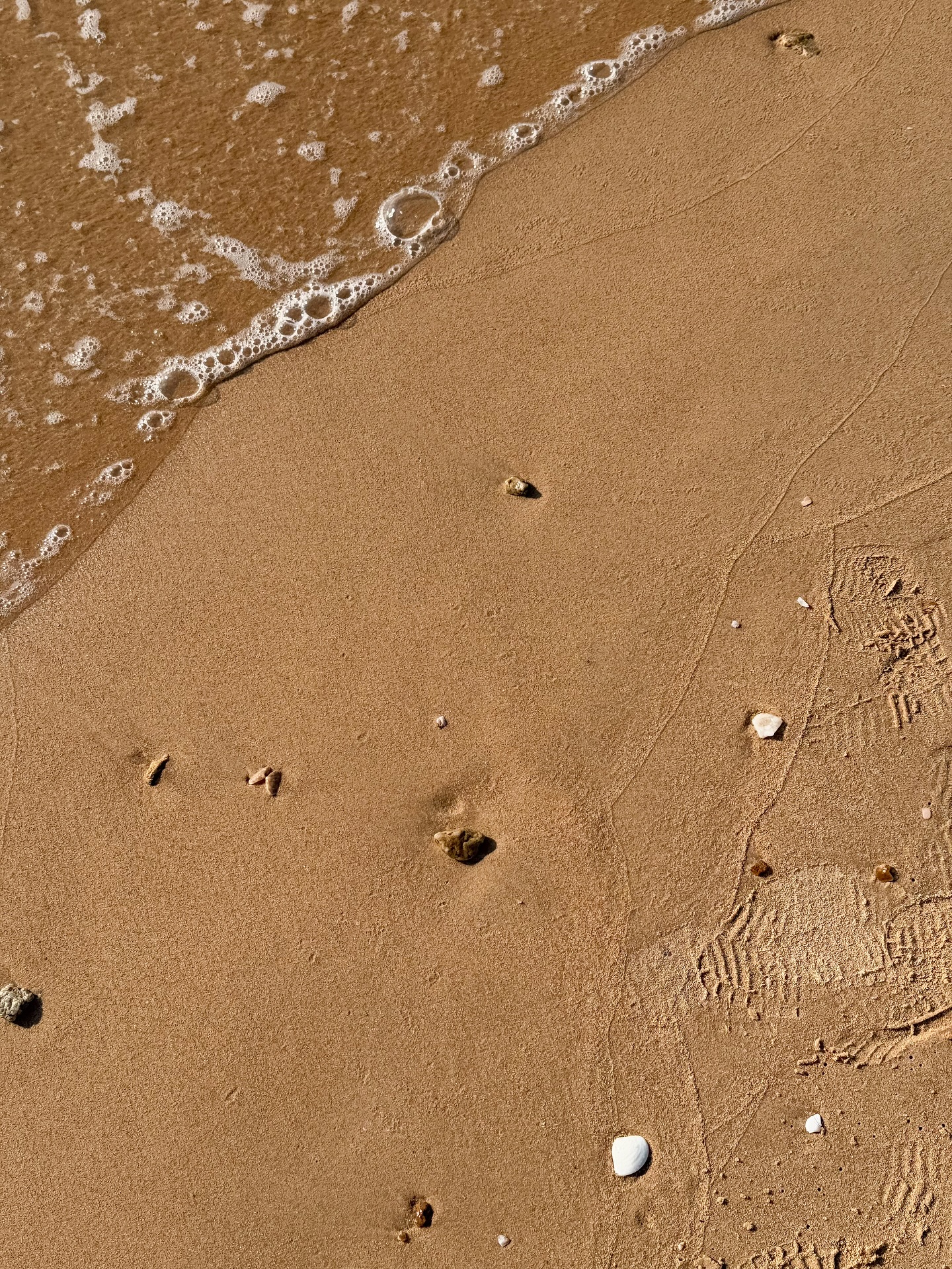 ส้ม - มารี เออเจนี เลอเลย์