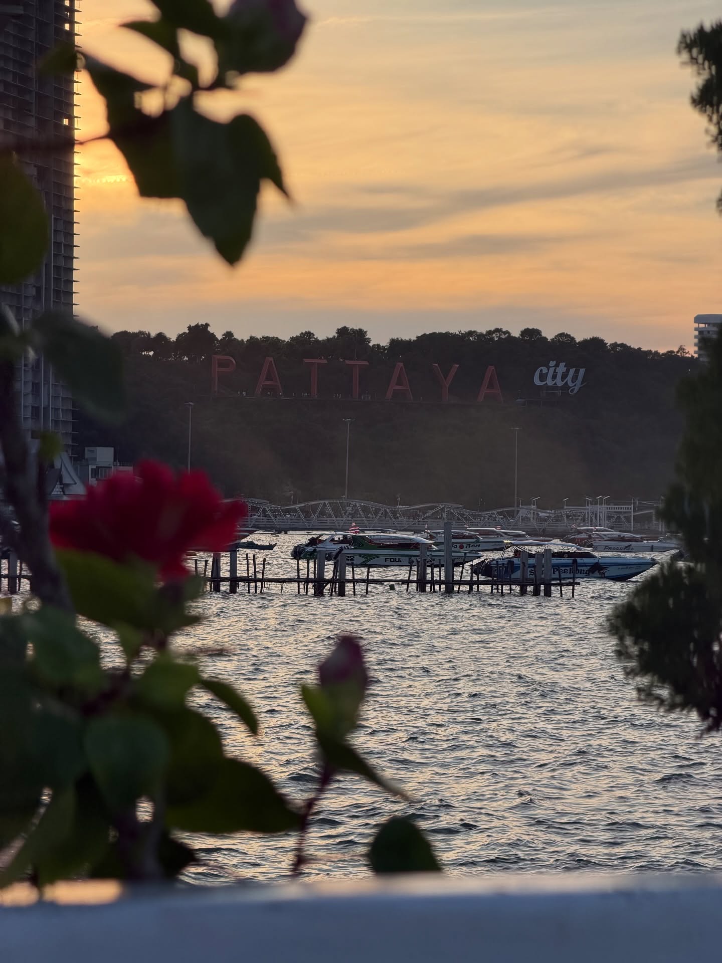 ส้ม - มารี เออเจนี เลอเลย์