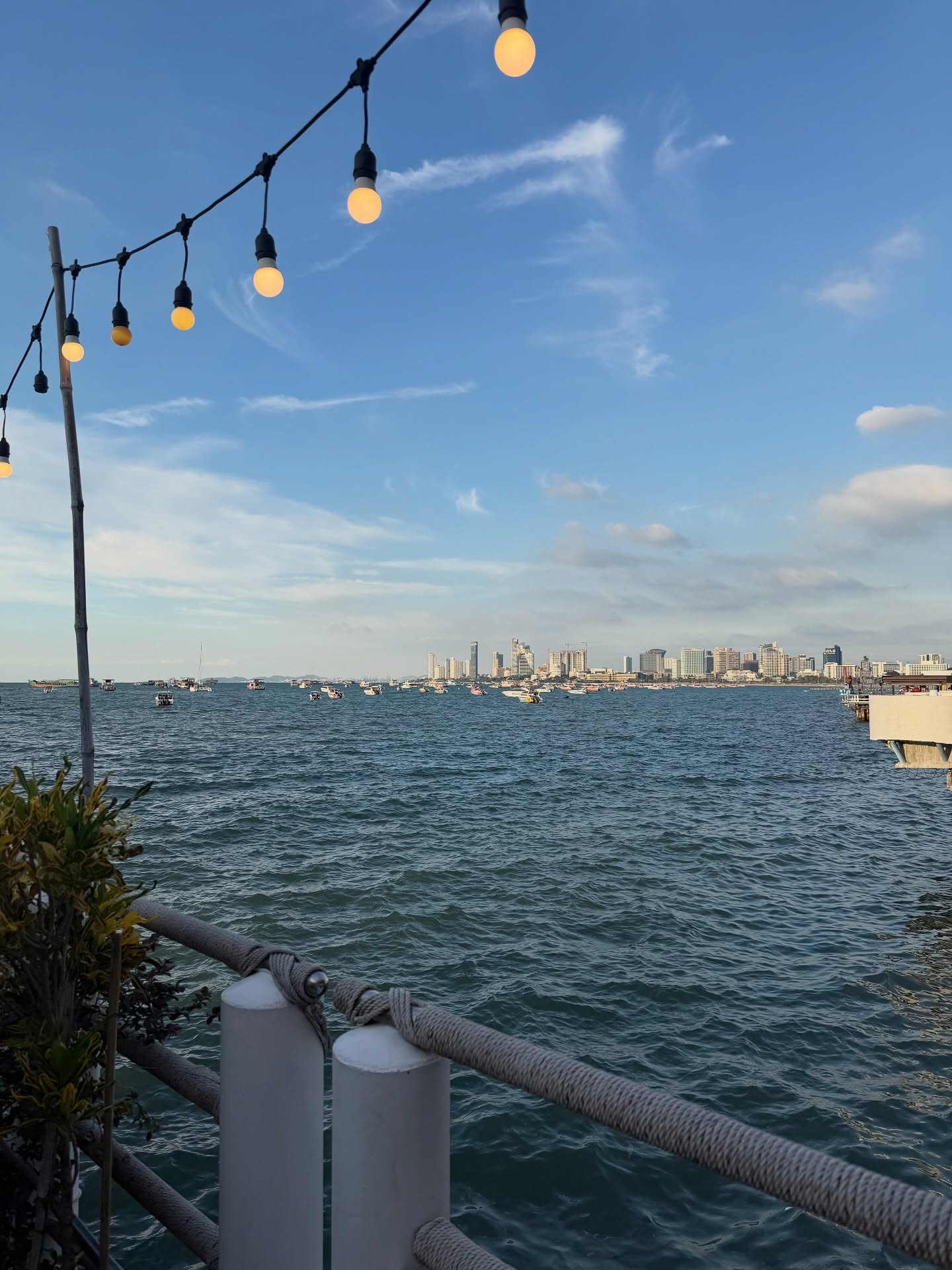 ส้ม - มารี เออเจนี เลอเลย์