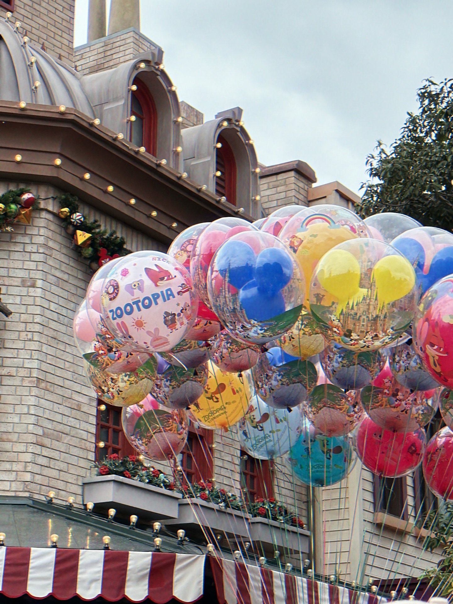 ส้ม - มารี เออเจนี เลอเลย์