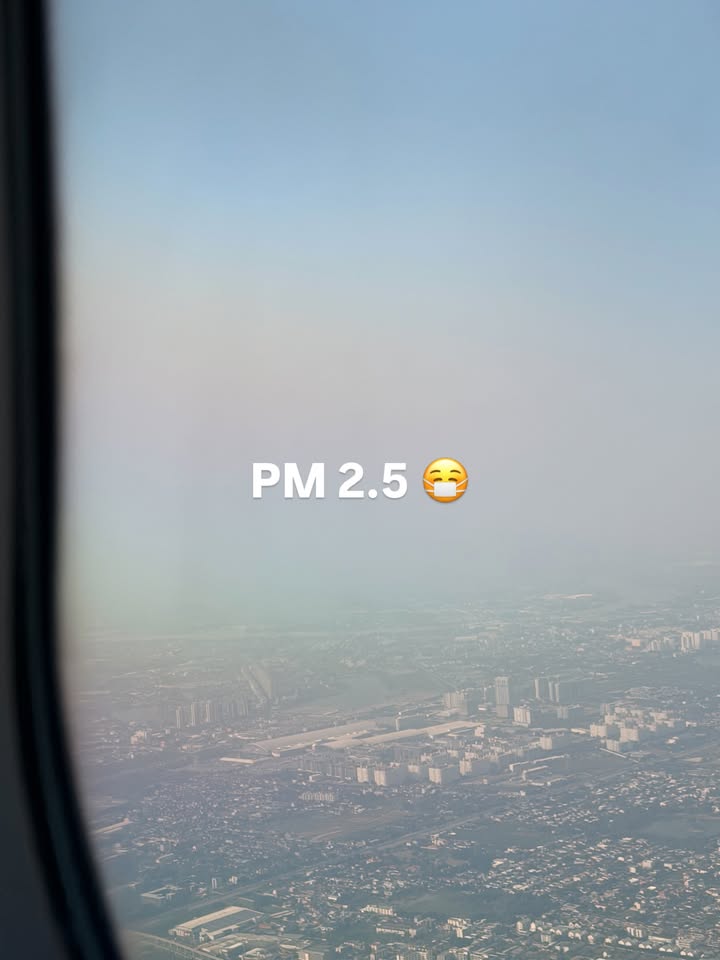 ส้ม - มารี เออเจนี เลอเลย์