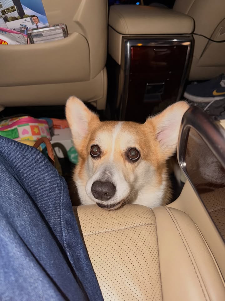 ส้ม - มารี เออเจนี เลอเลย์