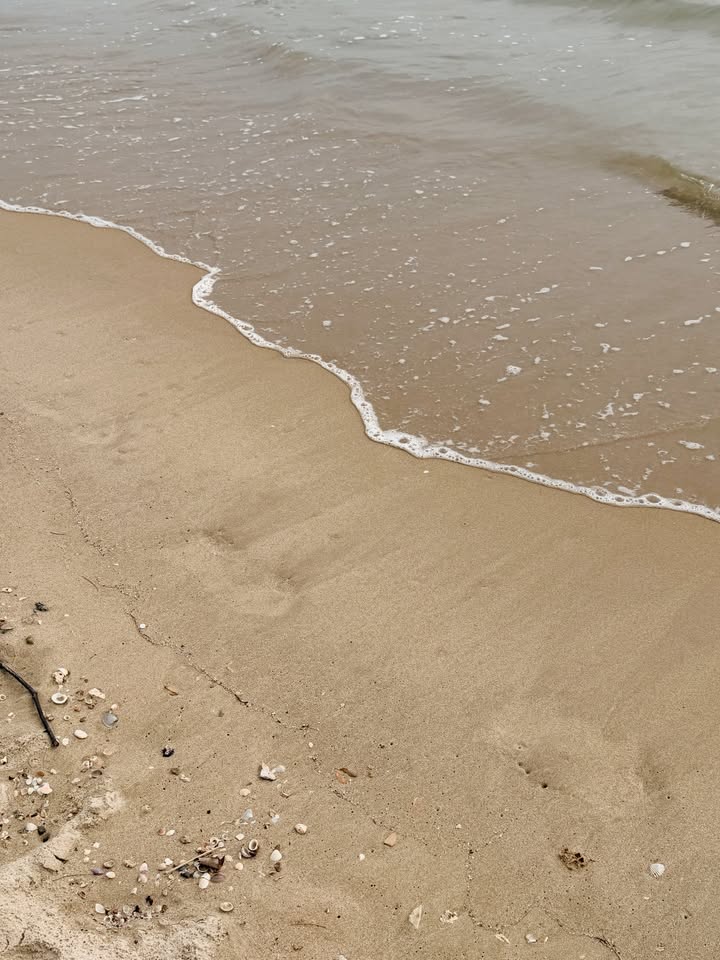 ส้ม - มารี เออเจนี เลอเลย์