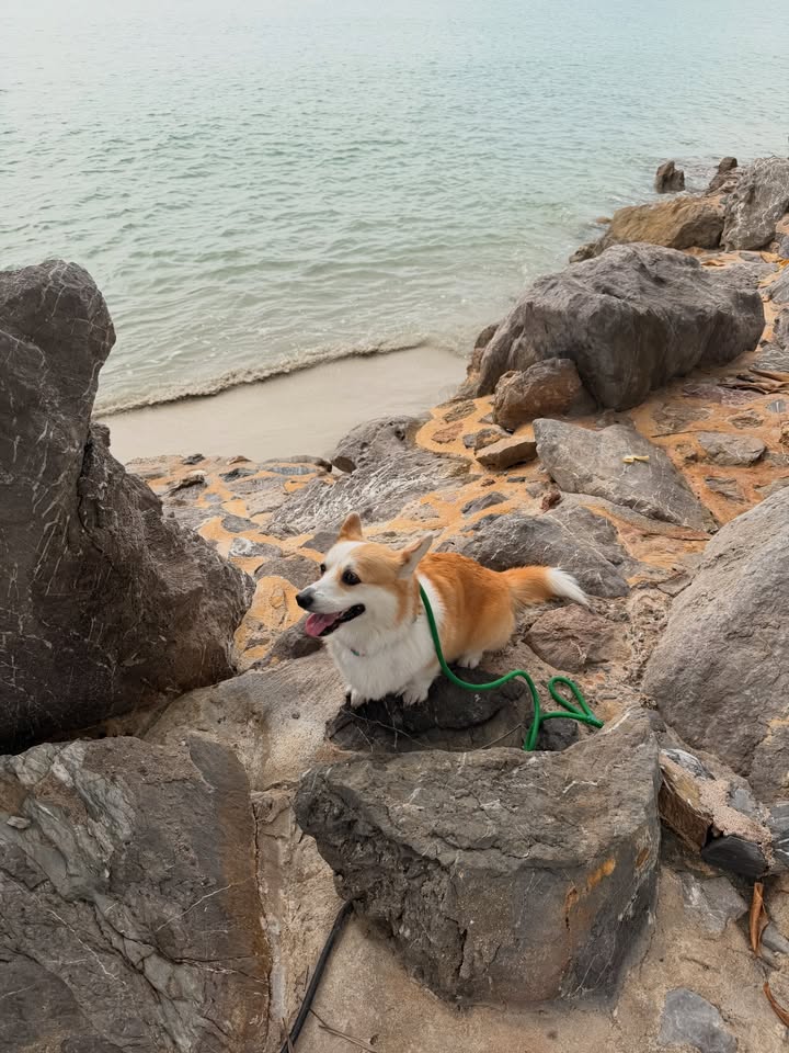 ส้ม - มารี เออเจนี เลอเลย์