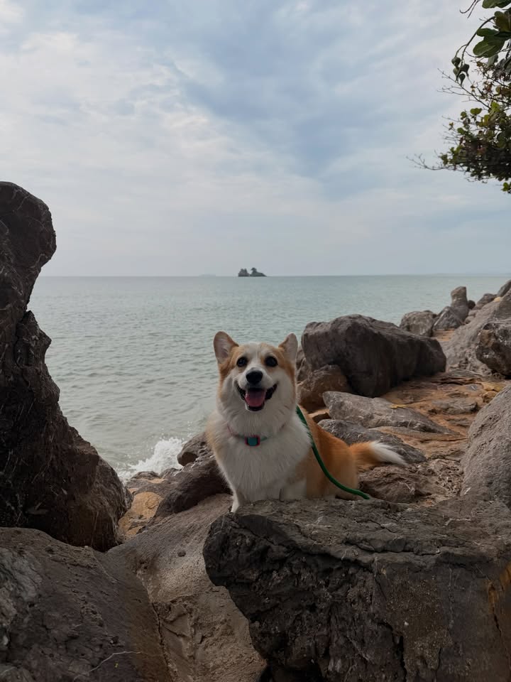 ส้ม - มารี เออเจนี เลอเลย์