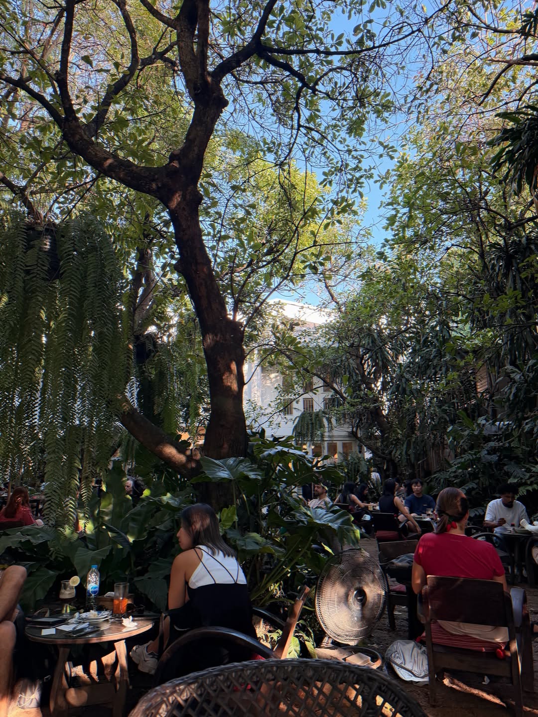 ส้ม - มารี เออเจนี เลอเลย์