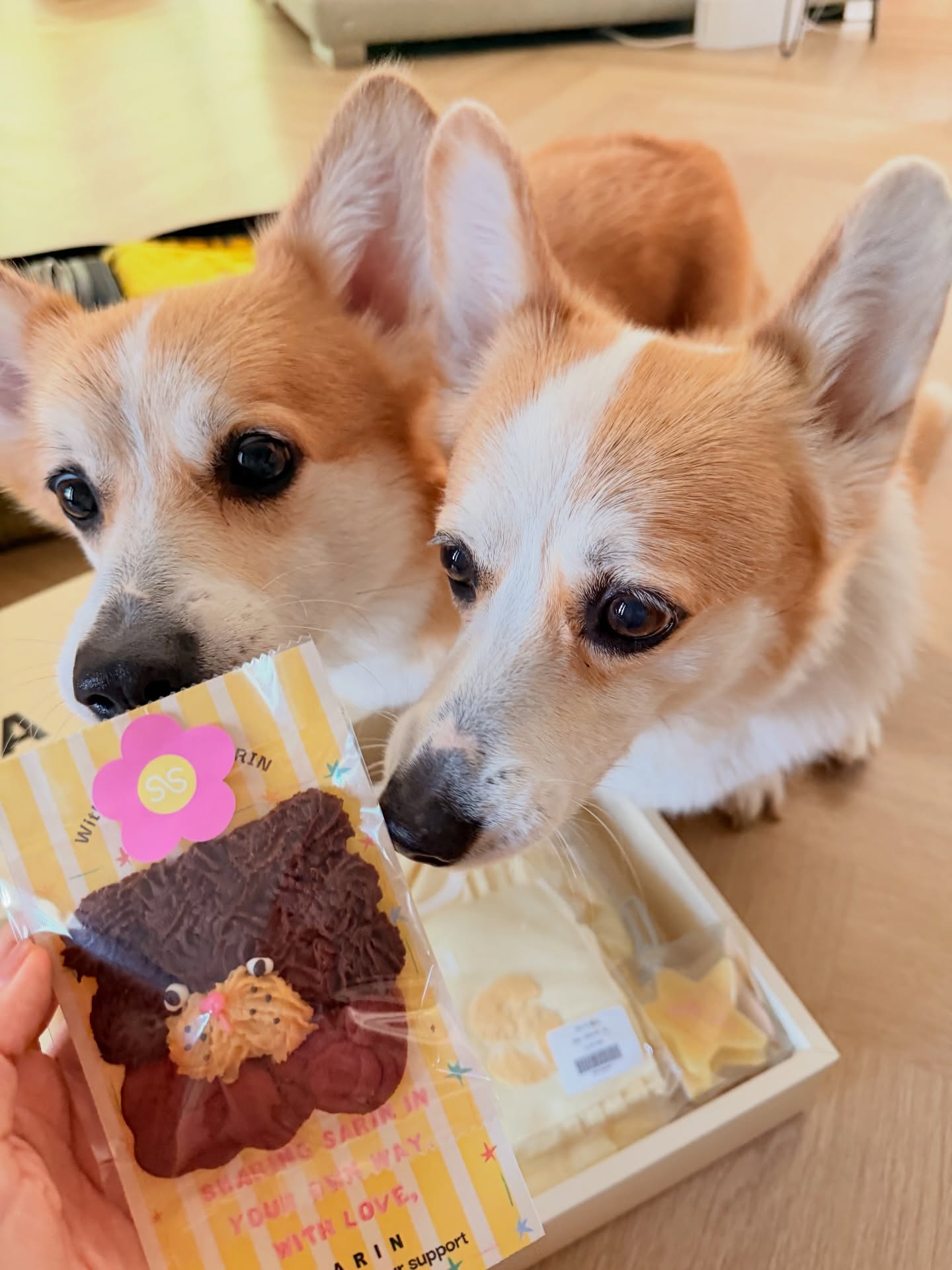 ส้ม - มารี เออเจนี เลอเลย์