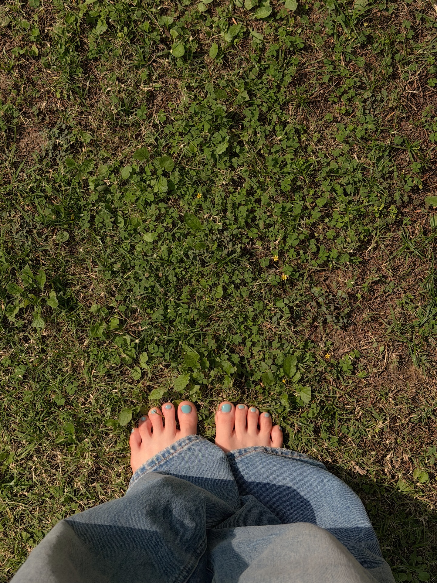 ส้ม - มารี เออเจนี เลอเลย์