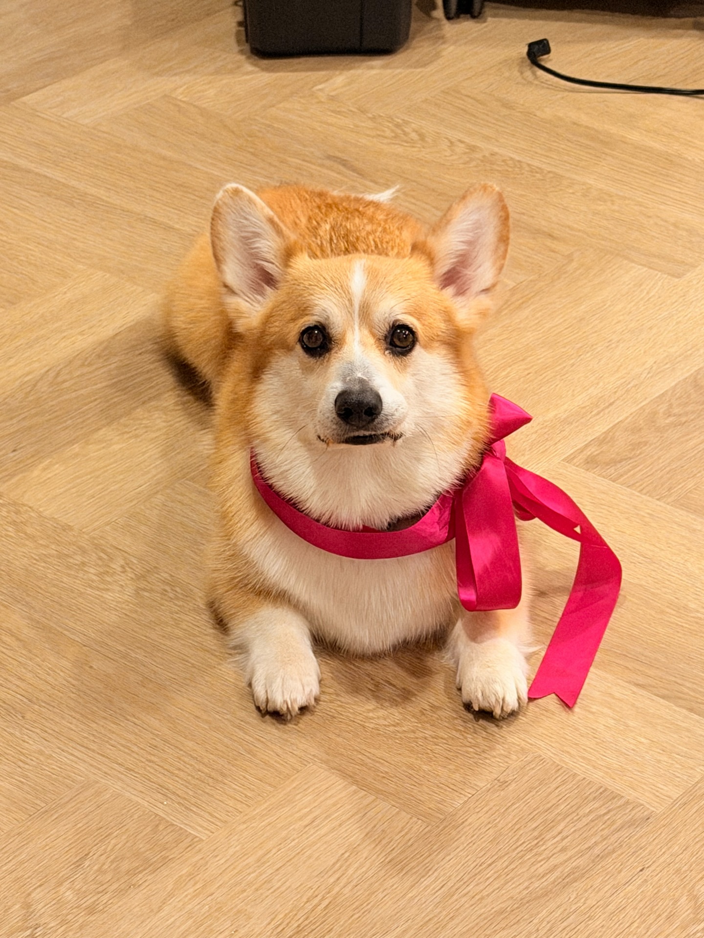 ส้ม - มารี เออเจนี เลอเลย์