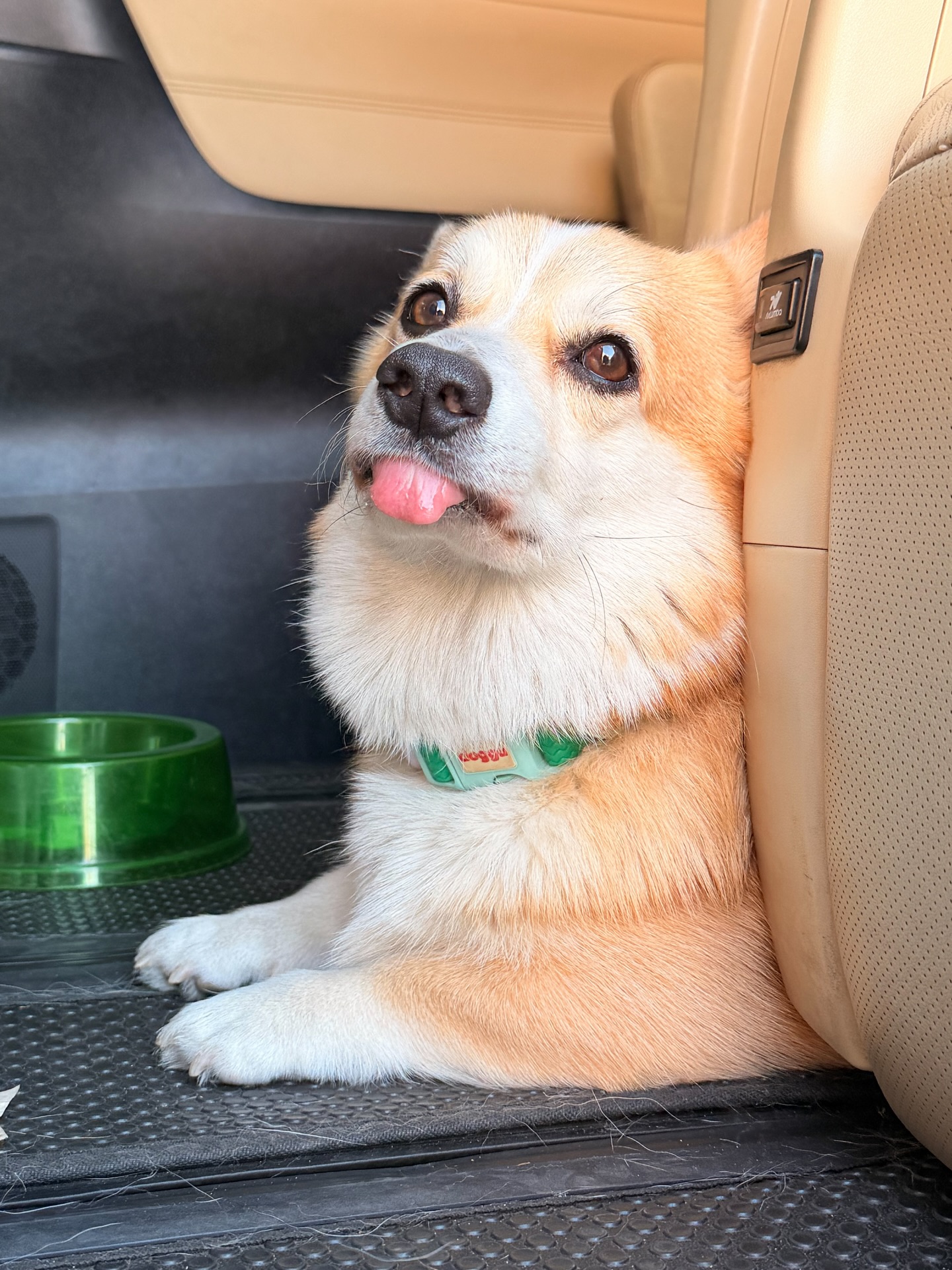 ส้ม - มารี เออเจนี เลอเลย์