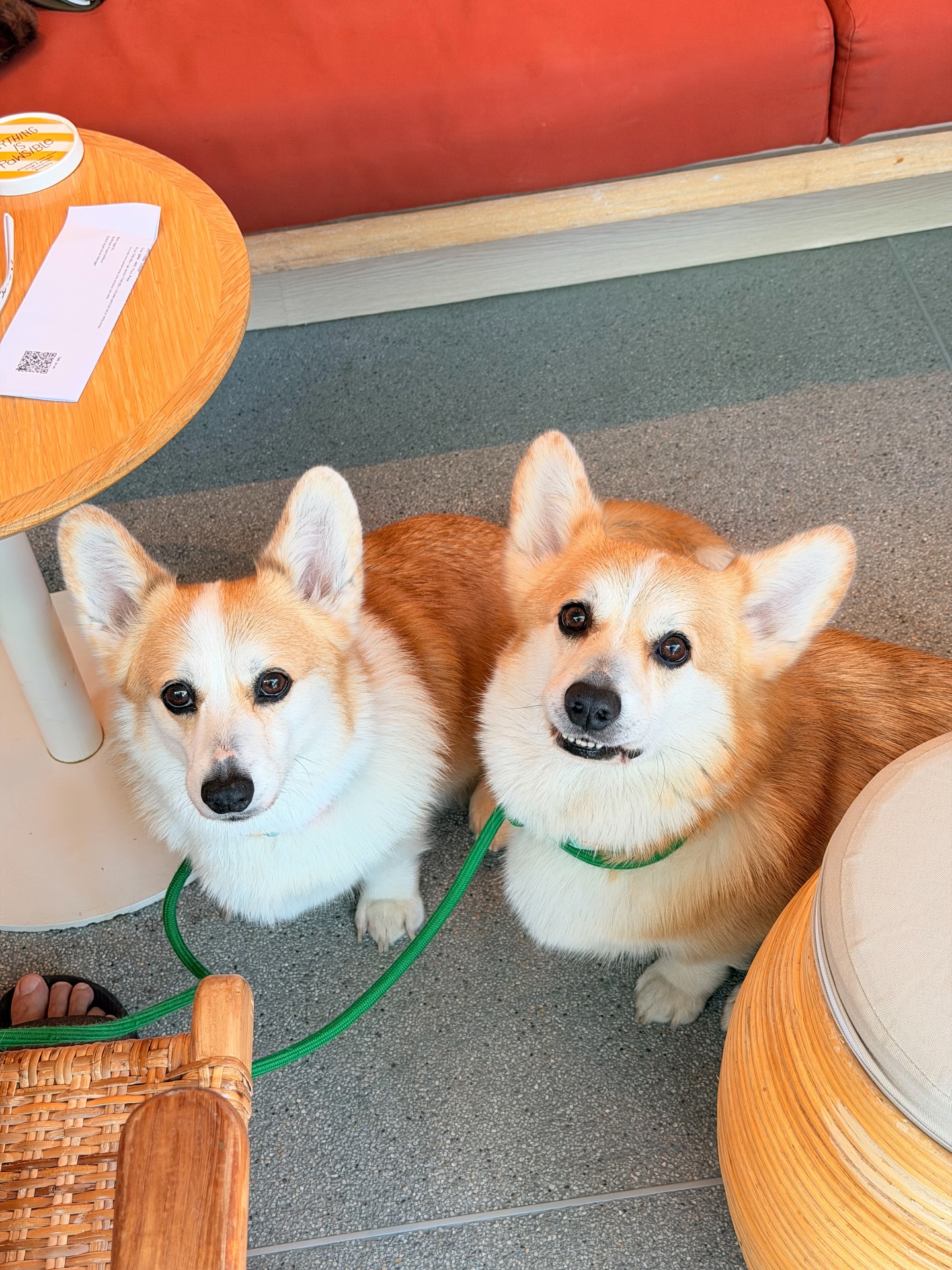 ส้ม - มารี เออเจนี เลอเลย์