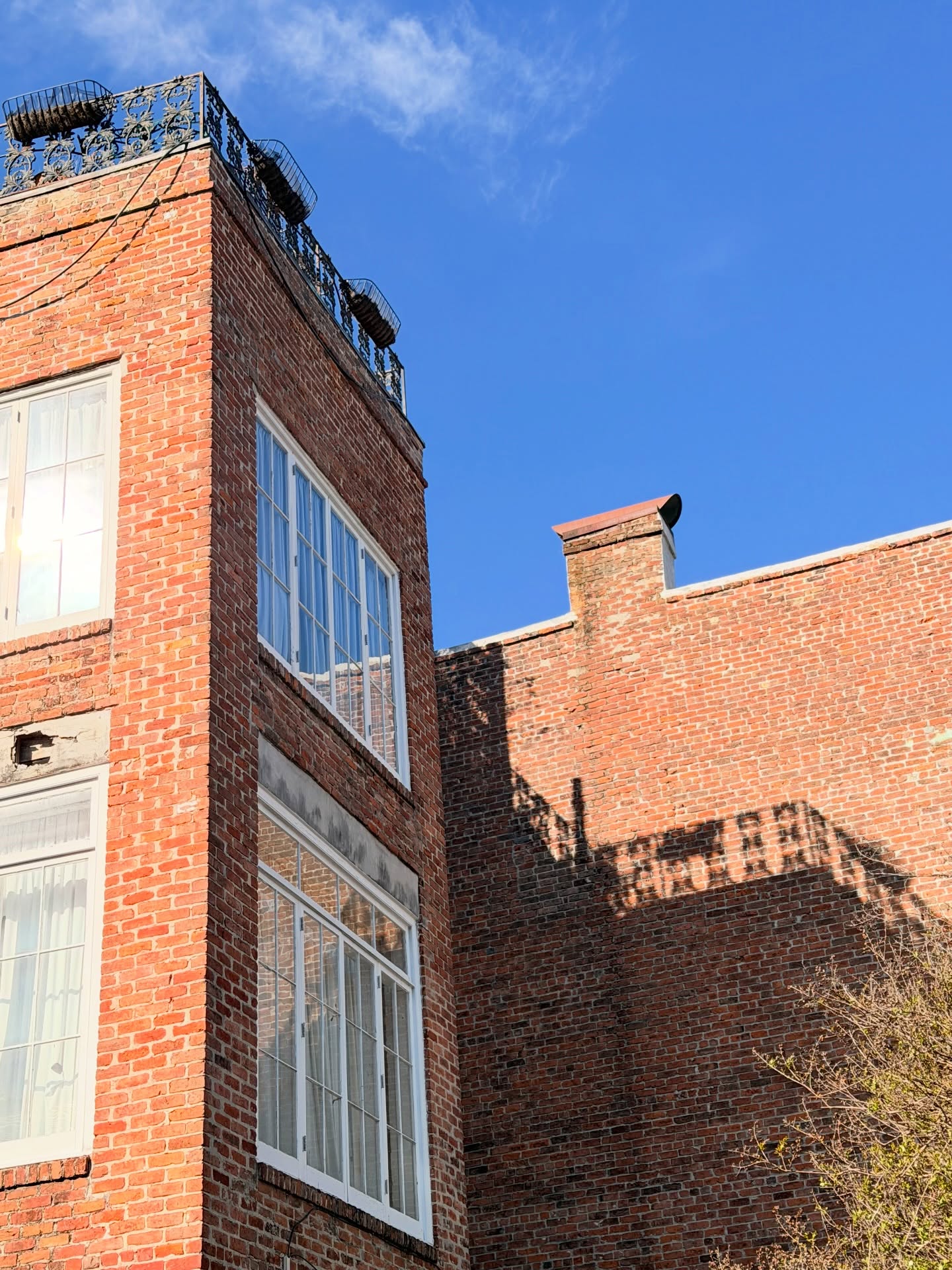 ส้ม - มารี เออเจนี เลอเลย์