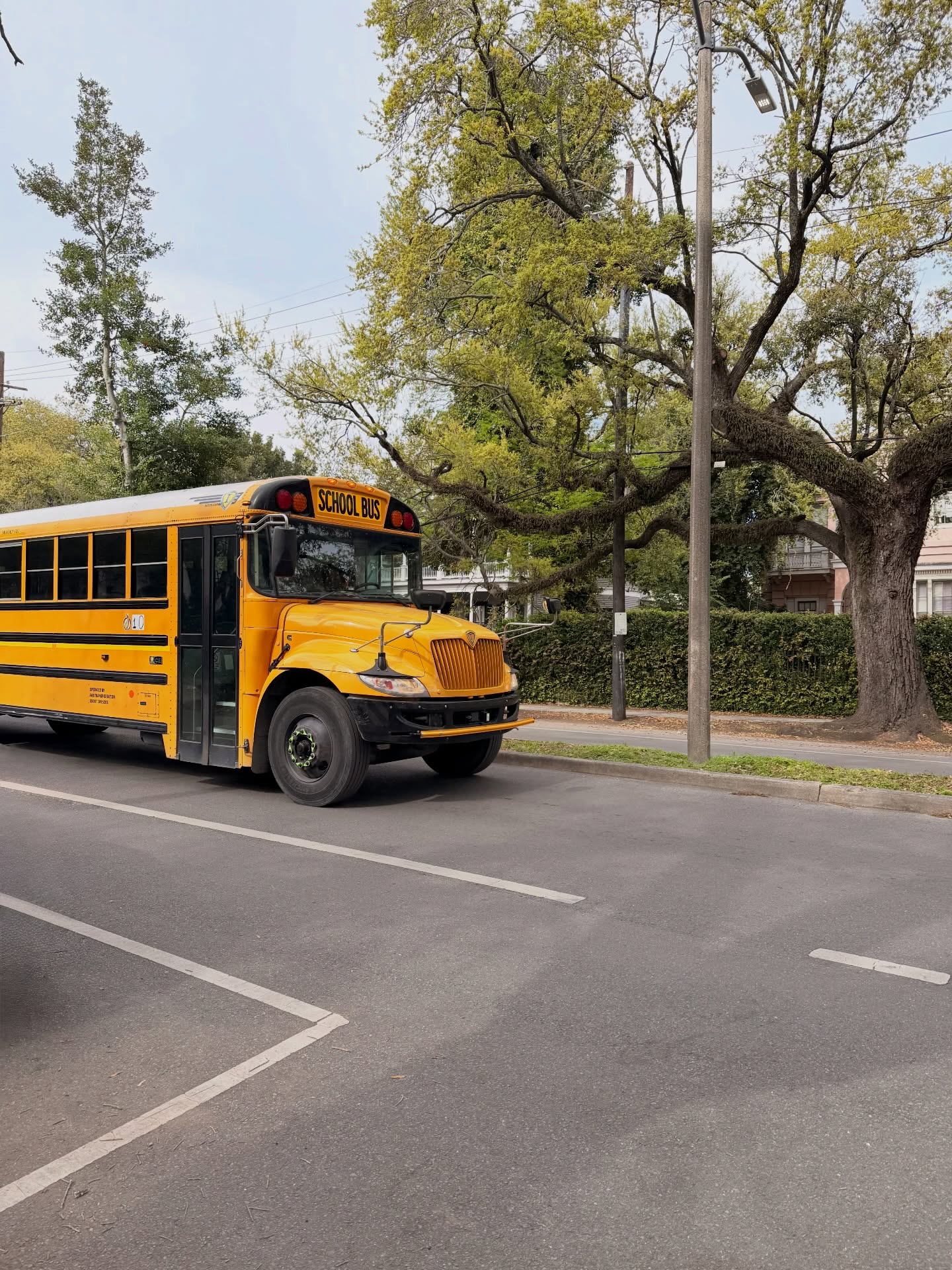 ส้ม - มารี เออเจนี เลอเลย์