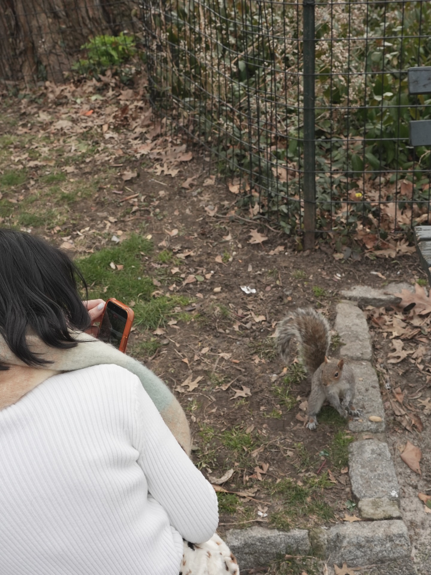 ส้ม - มารี เออเจนี เลอเลย์