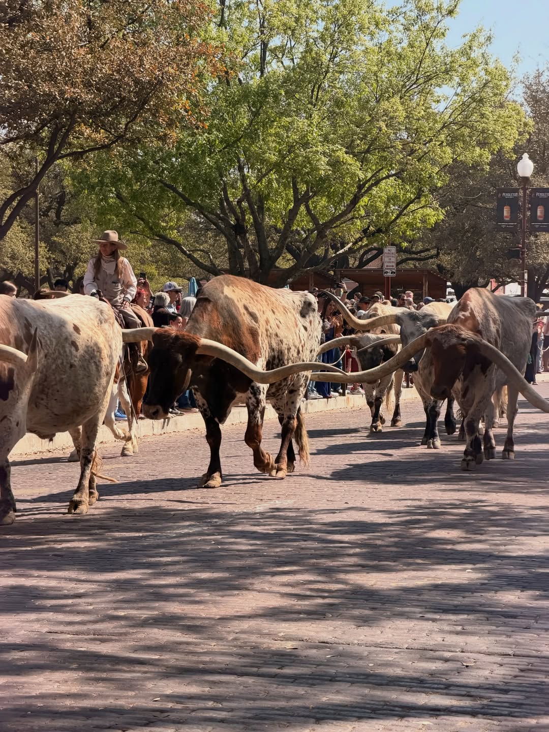 ส้ม - มารี เออเจนี เลอเลย์
