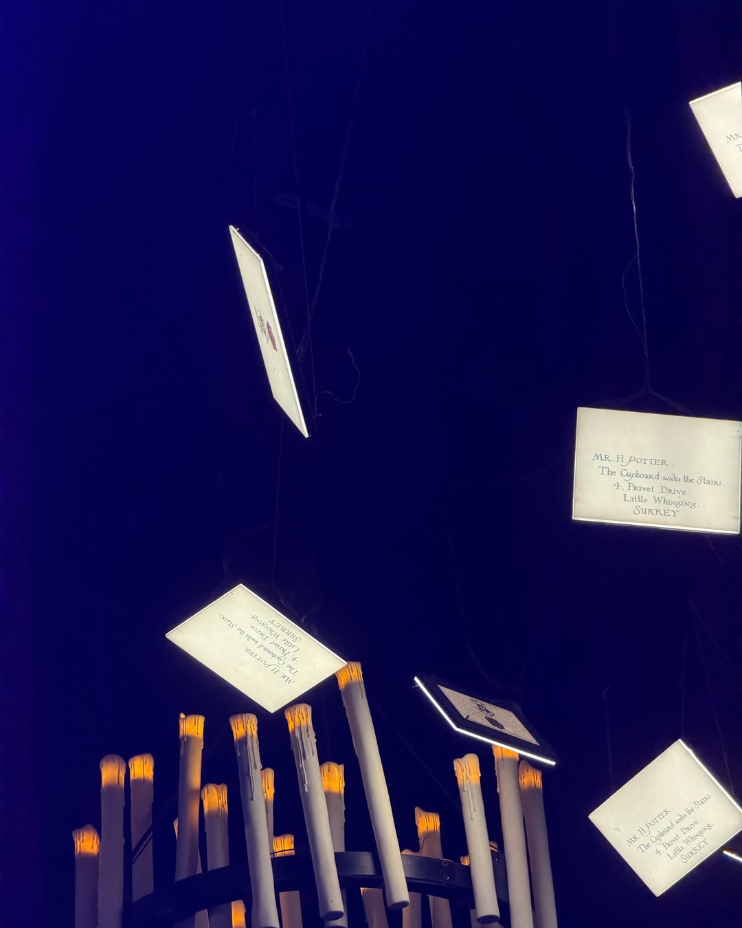 ส้ม - มารี เออเจนี เลอเลย์