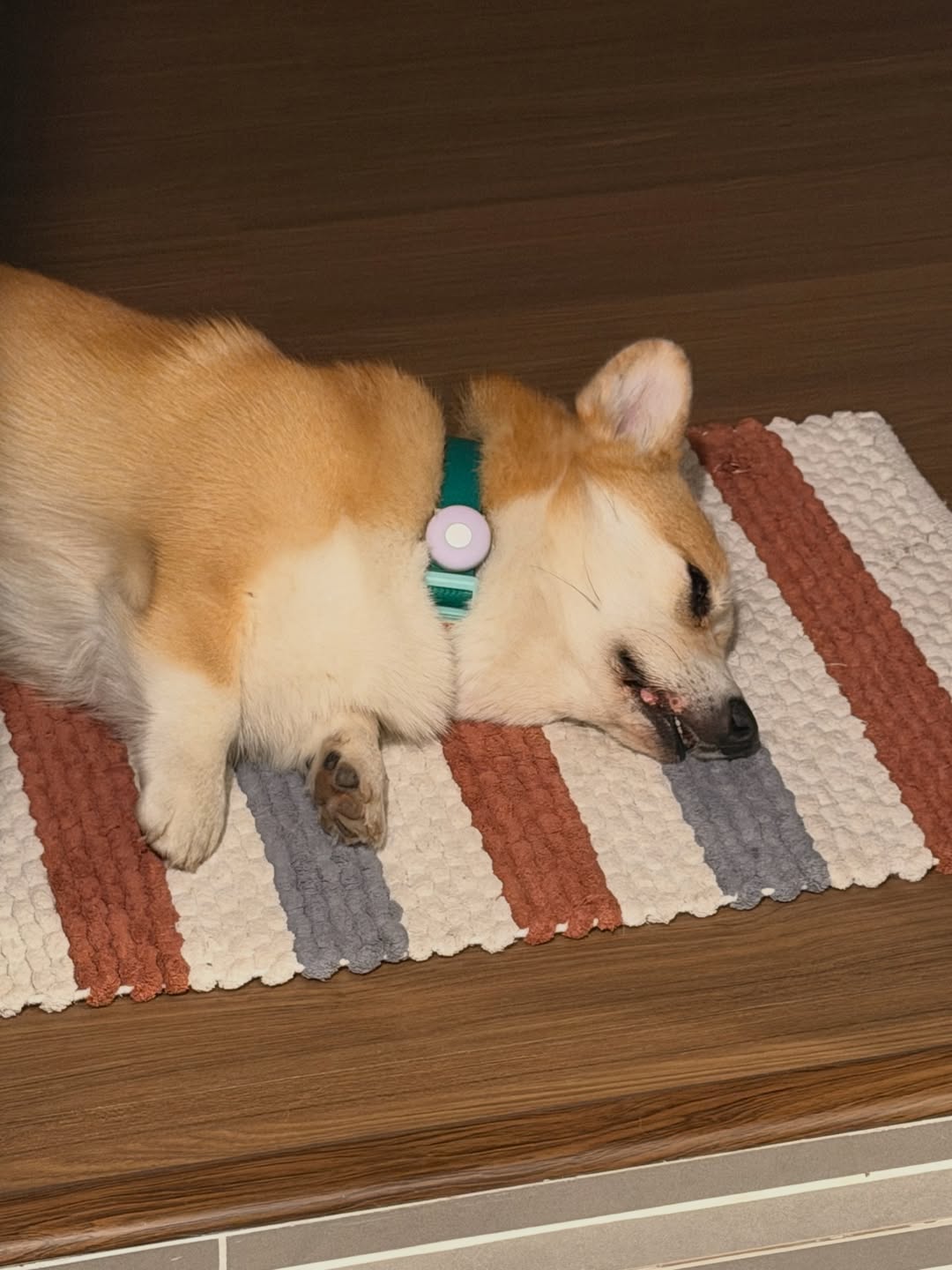 ส้ม - มารี เออเจนี เลอเลย์